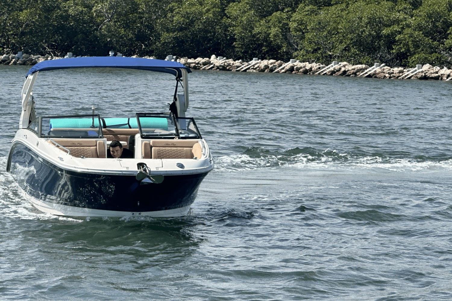 2019 Sea Ray 270 SDX OUTBOARD Image Thumbnail #26