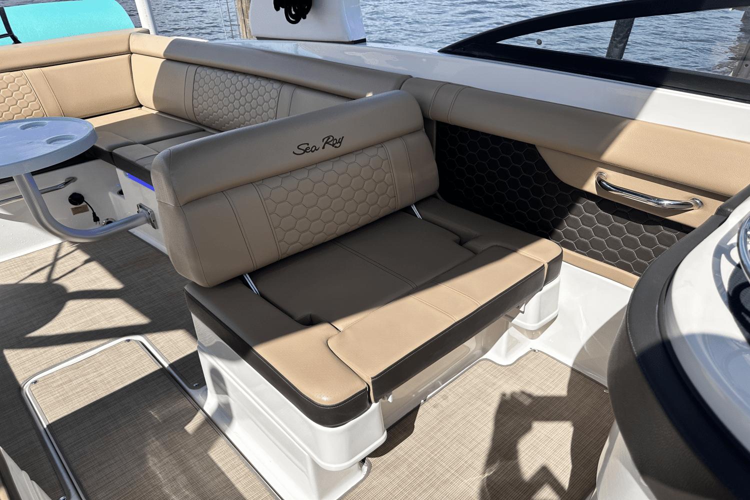 2019 Sea Ray 270 SDX OUTBOARD Image Thumbnail #12