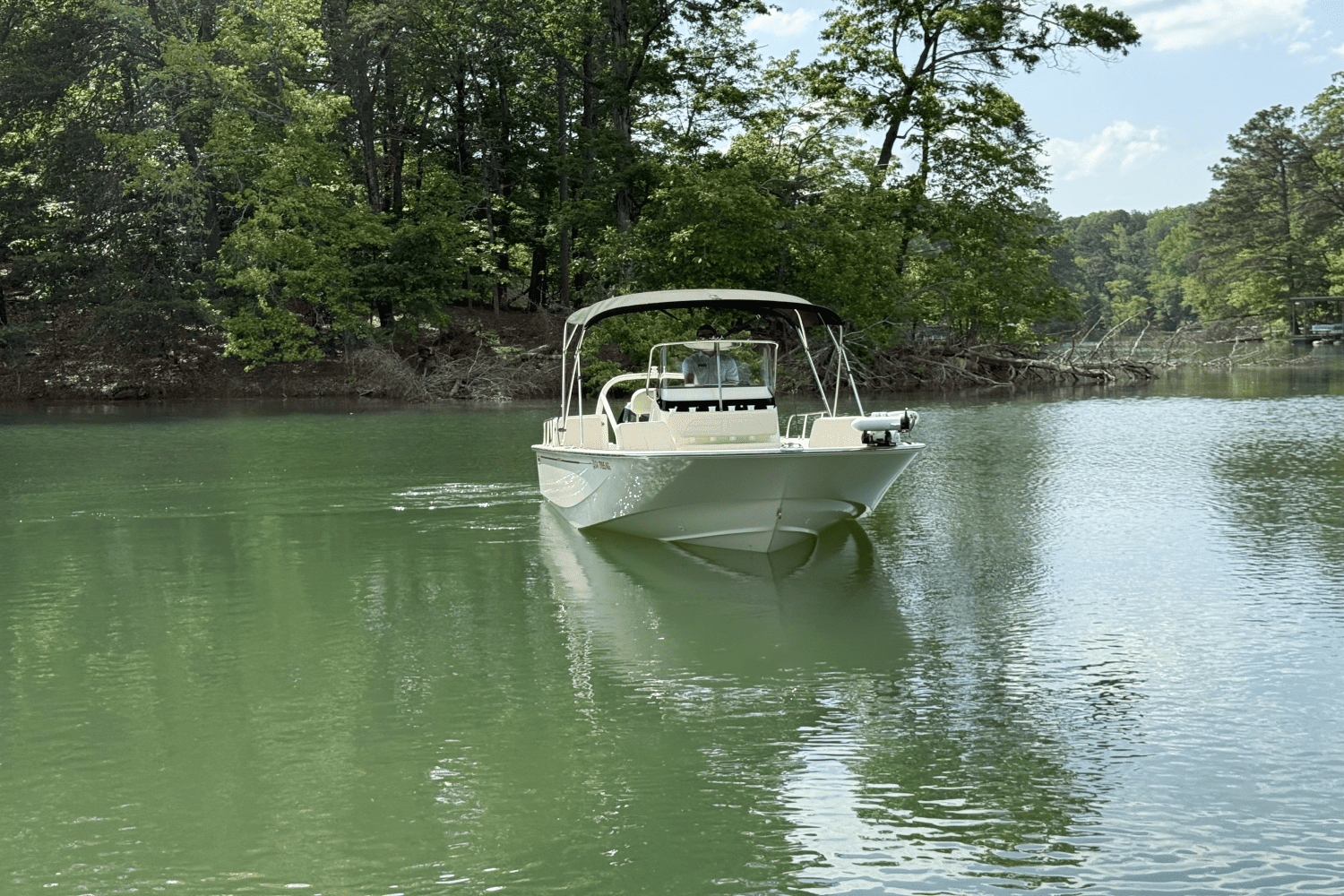 2024 Boston Whaler 210 MONTAUK Image Thumbnail #15