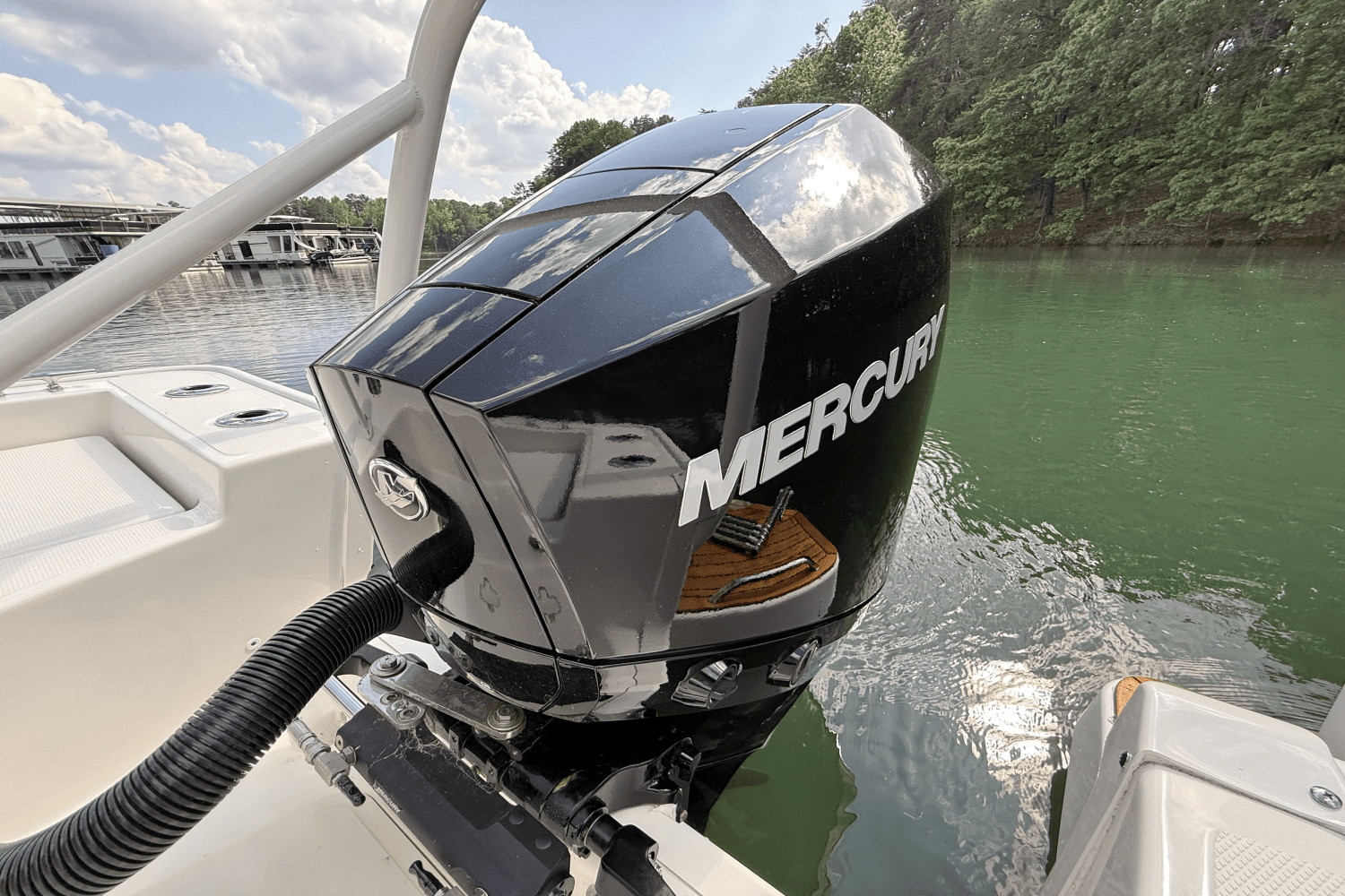 2024 Boston Whaler 210 MONTAUK Image Thumbnail #63