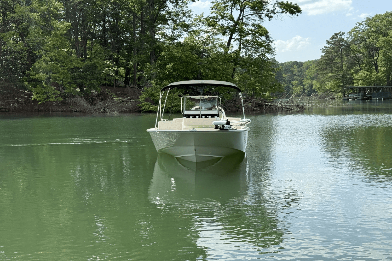 2024 Boston Whaler 210 MONTAUK Image Thumbnail #16
