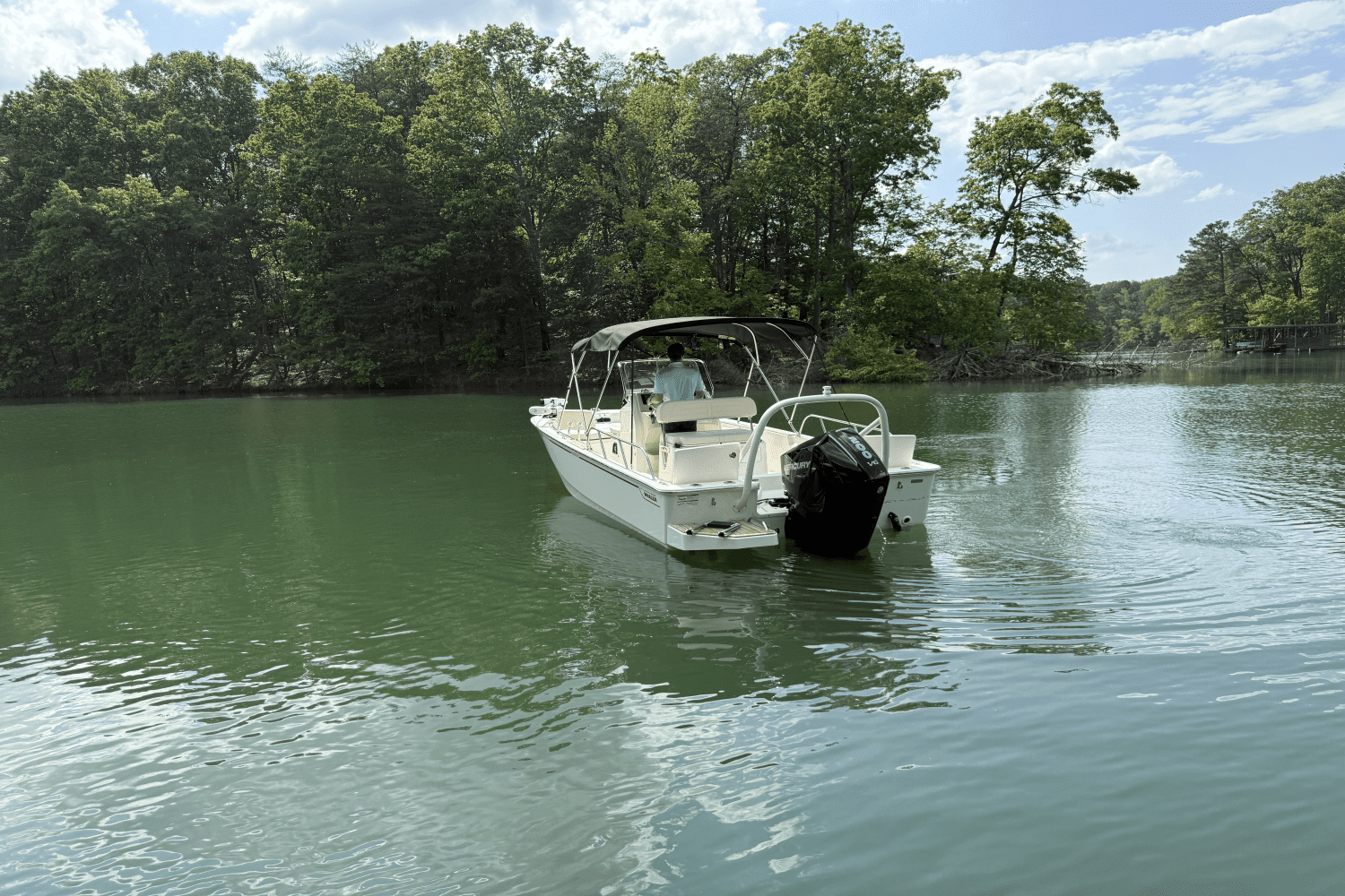 2024 Boston Whaler 210 MONTAUK Image Thumbnail #5