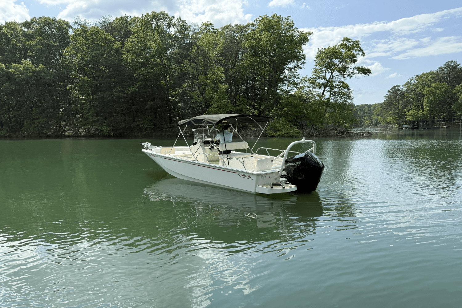 2024 Boston Whaler 210 MONTAUK Image Thumbnail #4
