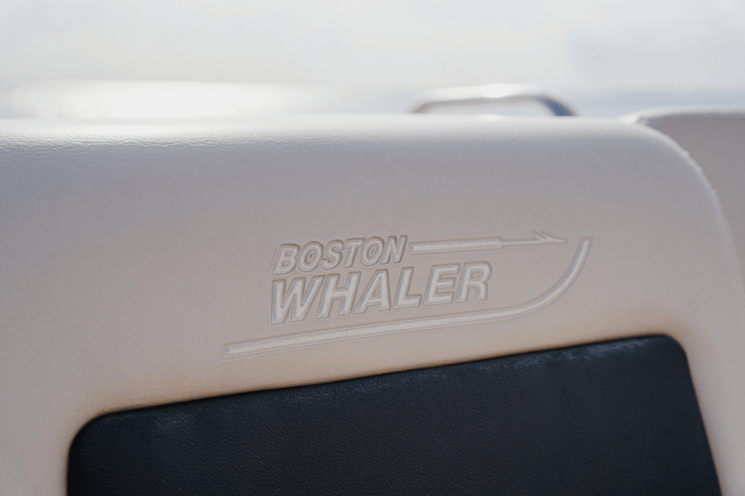 2018 Boston Whaler 230 VANTAGE Image Thumbnail #42
