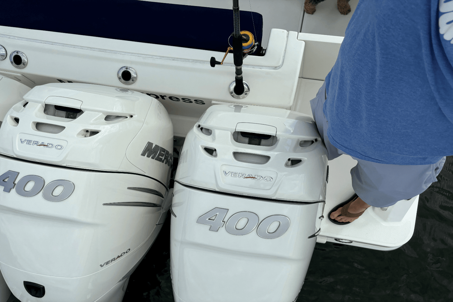 2020 Boston Whaler 350 EX Image Thumbnail #7