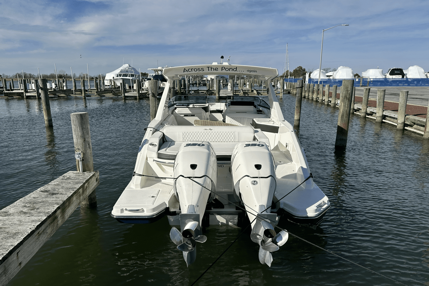 2019 Sea Ray SLX 310 OB Image Thumbnail #8