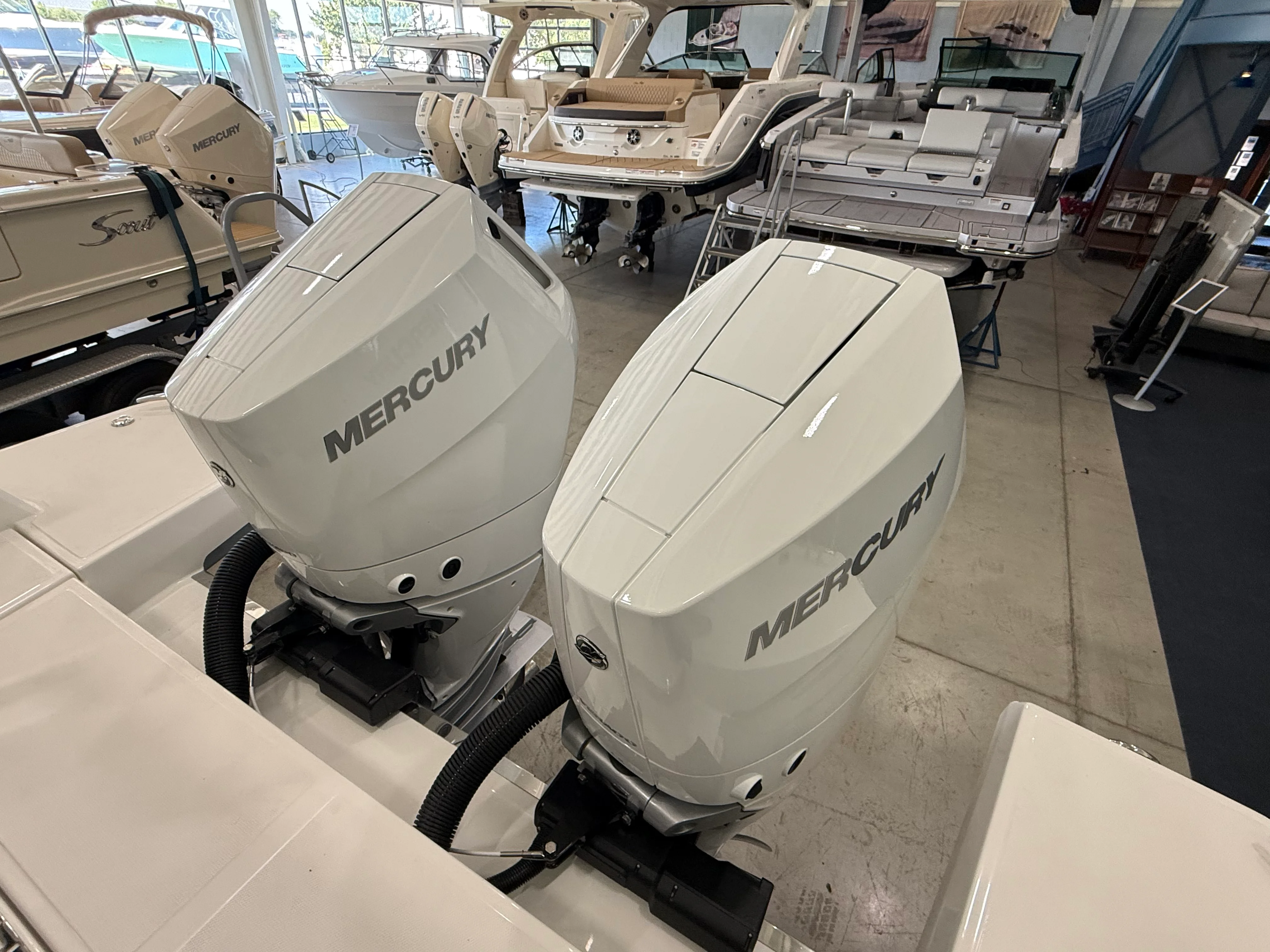 2026 Saxdor 400 GTO Image Thumbnail #20