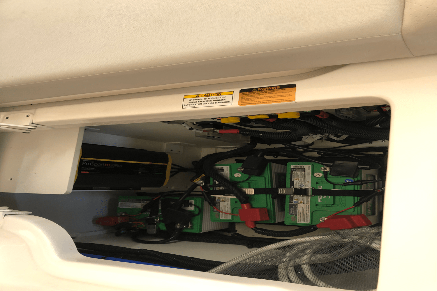 2025 Sea Ray 250 SDX Image Thumbnail #31