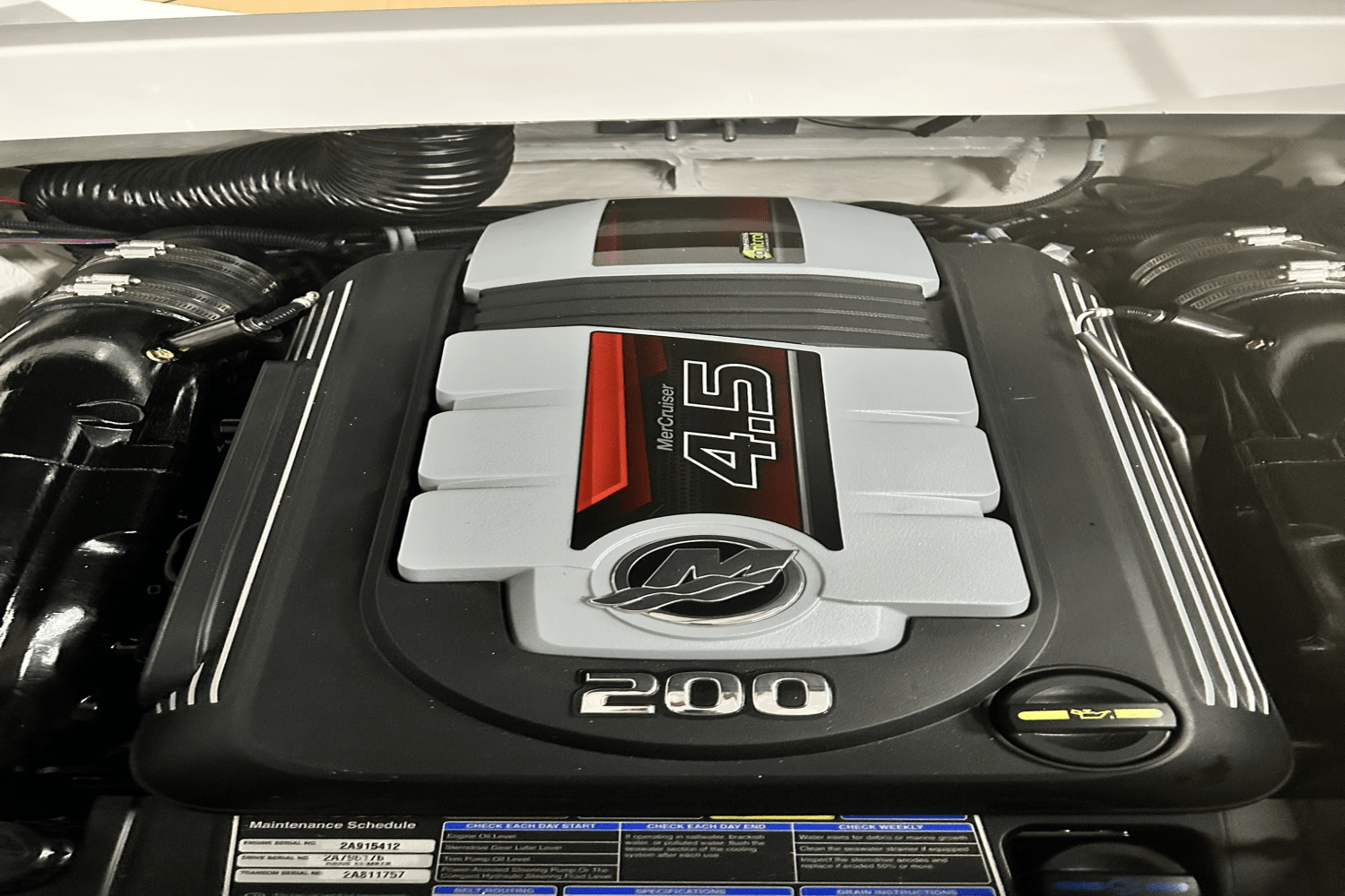 2025 Sea Ray SPX 190 Image Thumbnail #22