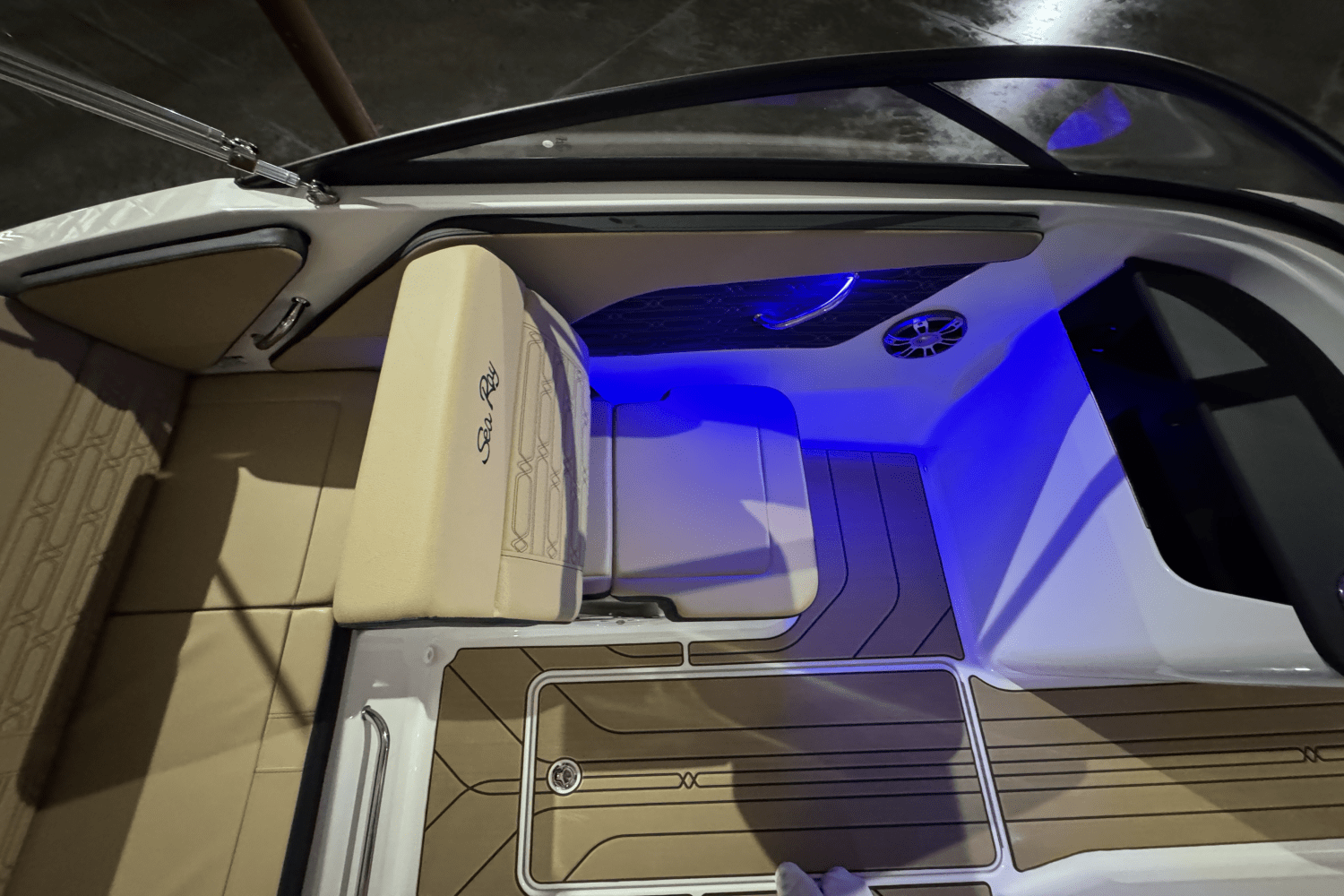 2025 Sea Ray SPX 190 Image Thumbnail #17