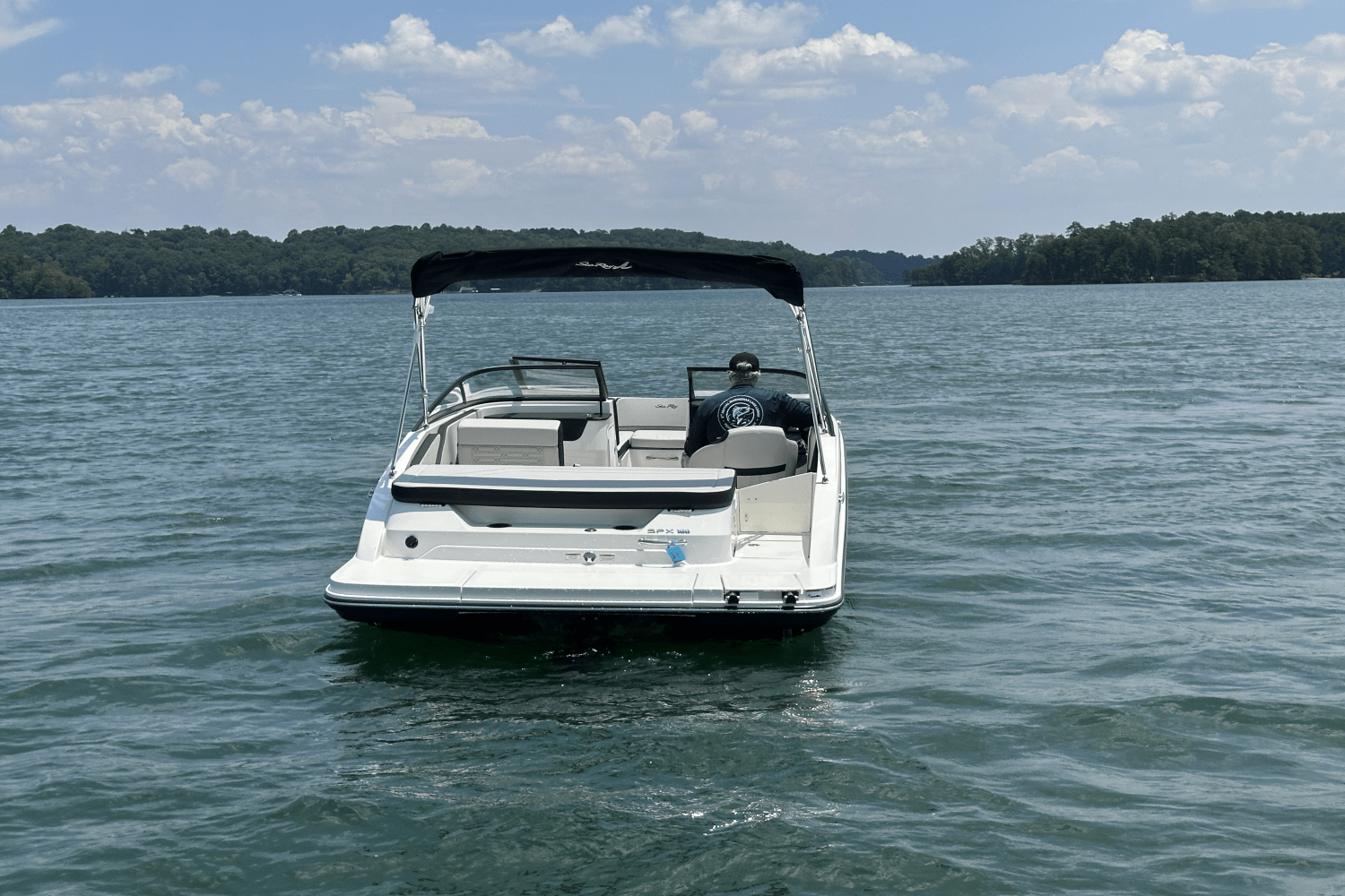 2025 Sea Ray SPX 190 Image Thumbnail #9