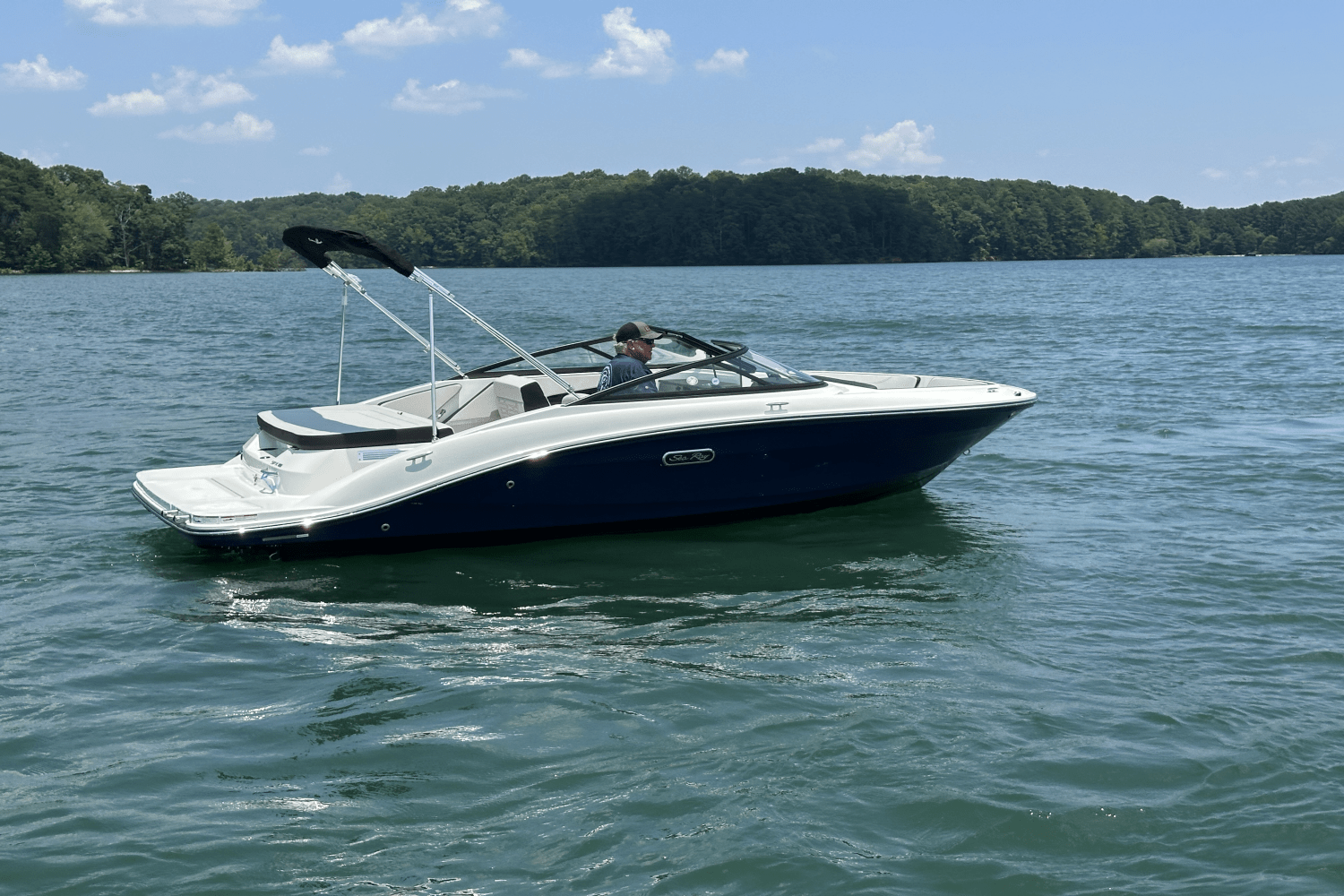 2025 Sea Ray SPX 190 Image Thumbnail #7