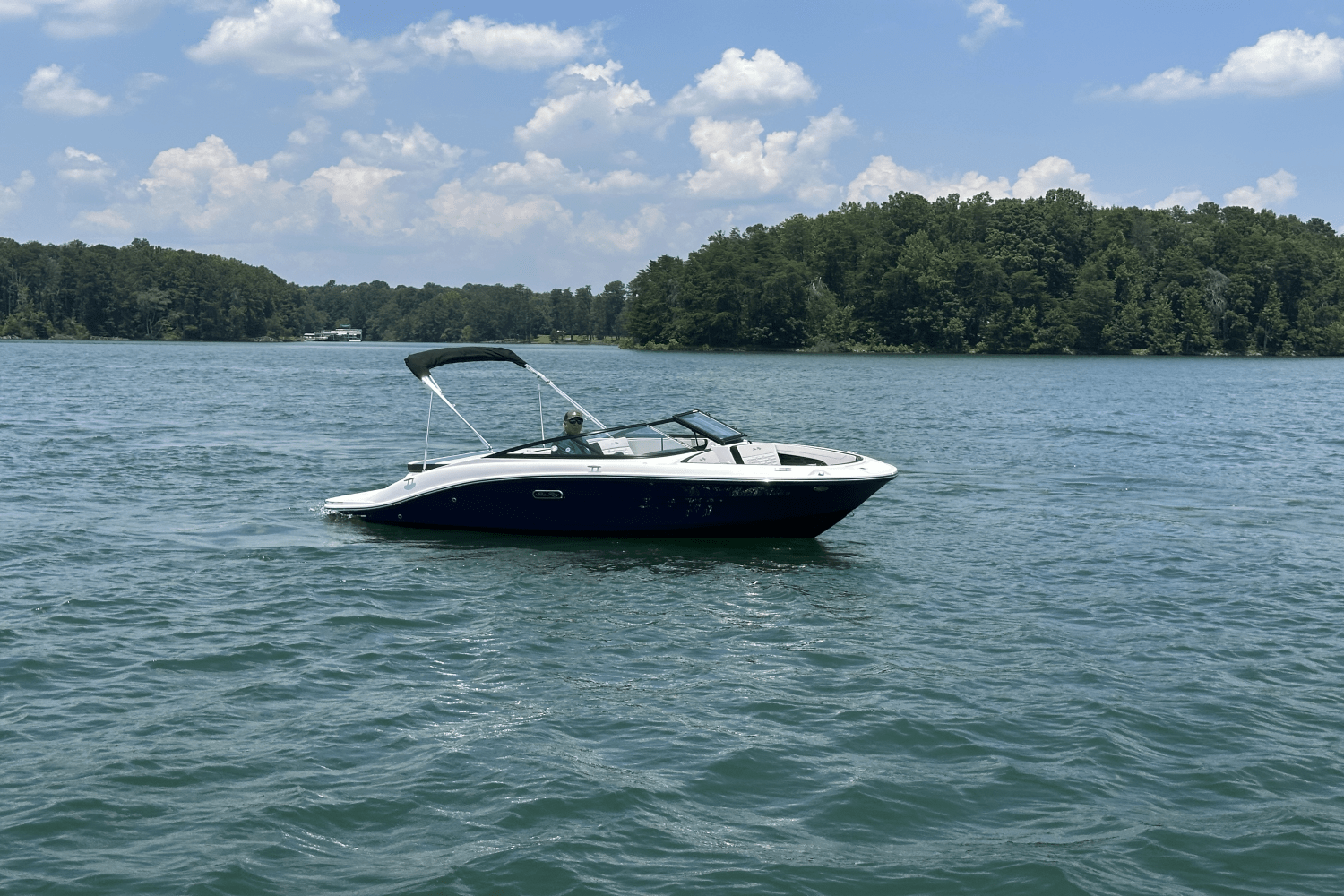 2025 Sea Ray SPX 190 Image Thumbnail #5