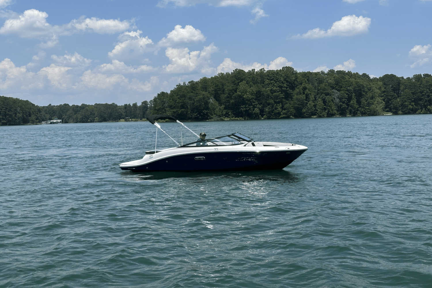 2025 Sea Ray SPX 190 Image Thumbnail #6