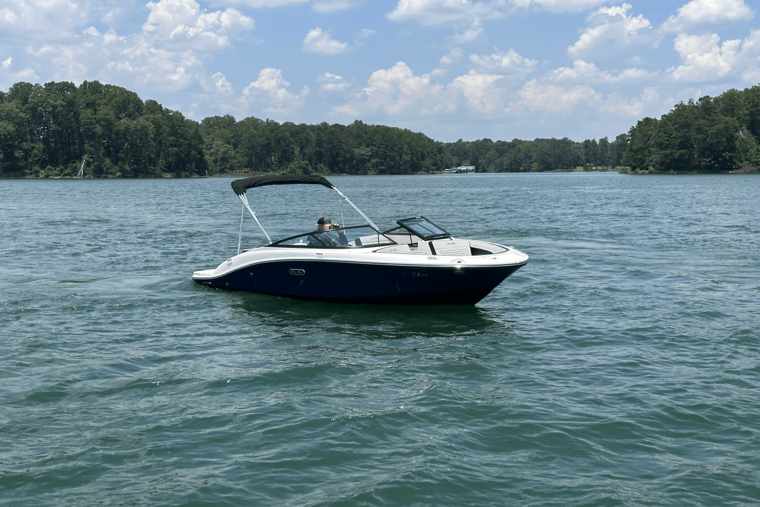 2025 Sea Ray SPX 190 Image Thumbnail #4