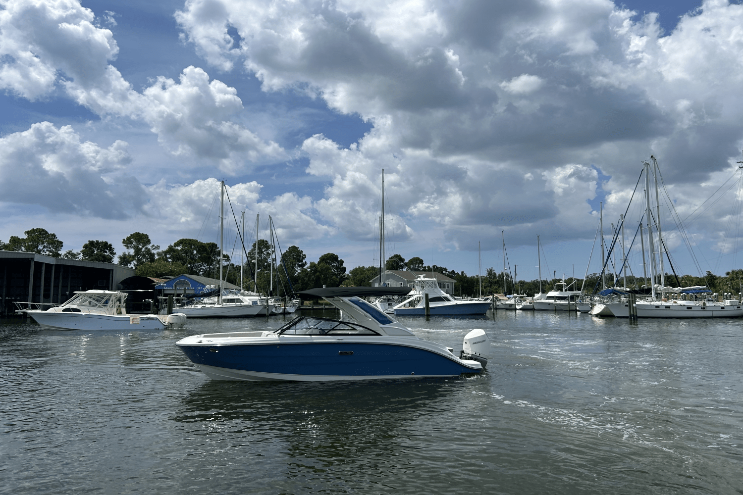 2026 Sea Ray SDX 230 Outboard Image Thumbnail #2