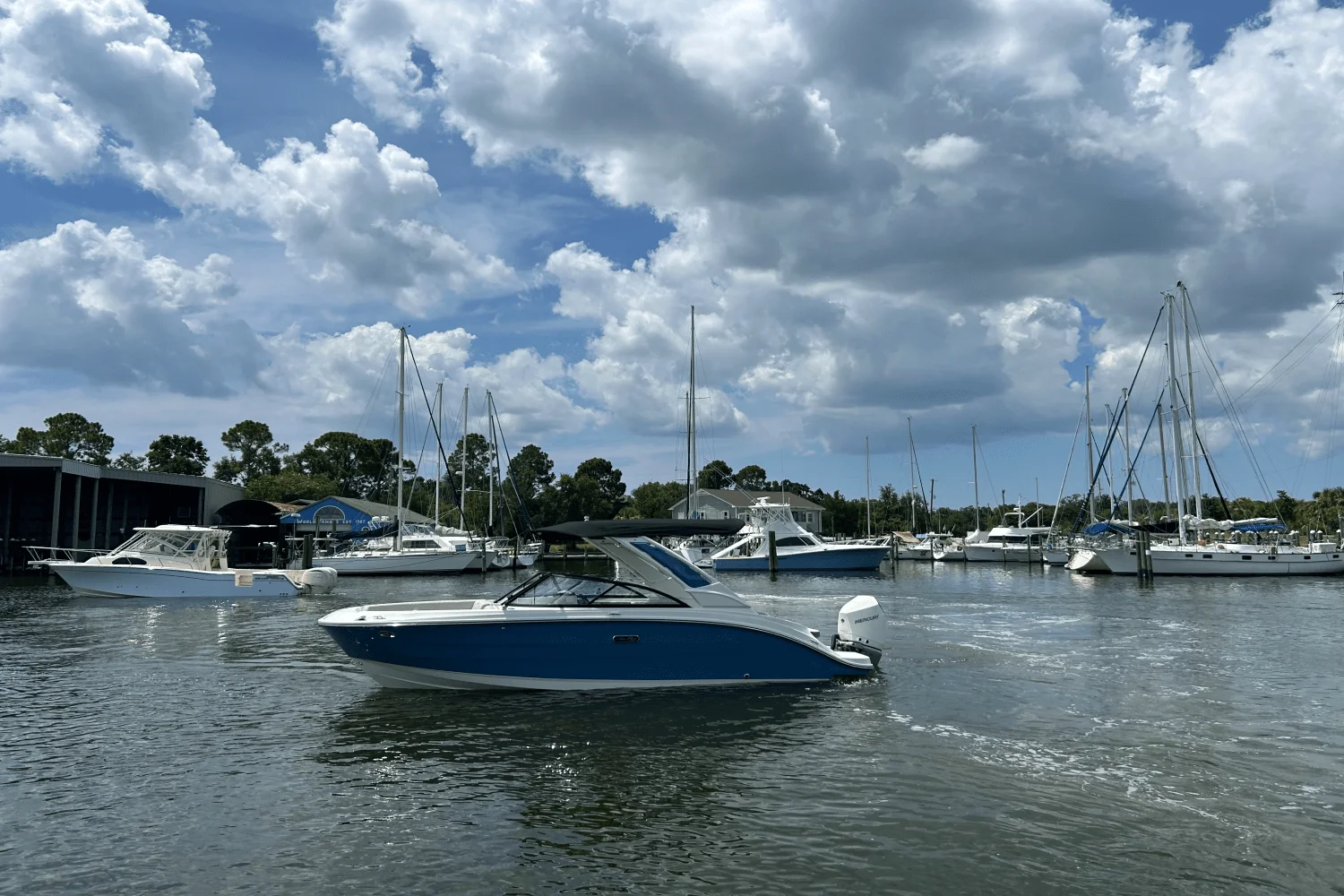 2026 Sea Ray SDX 230 Outboard Image Thumbnail #2