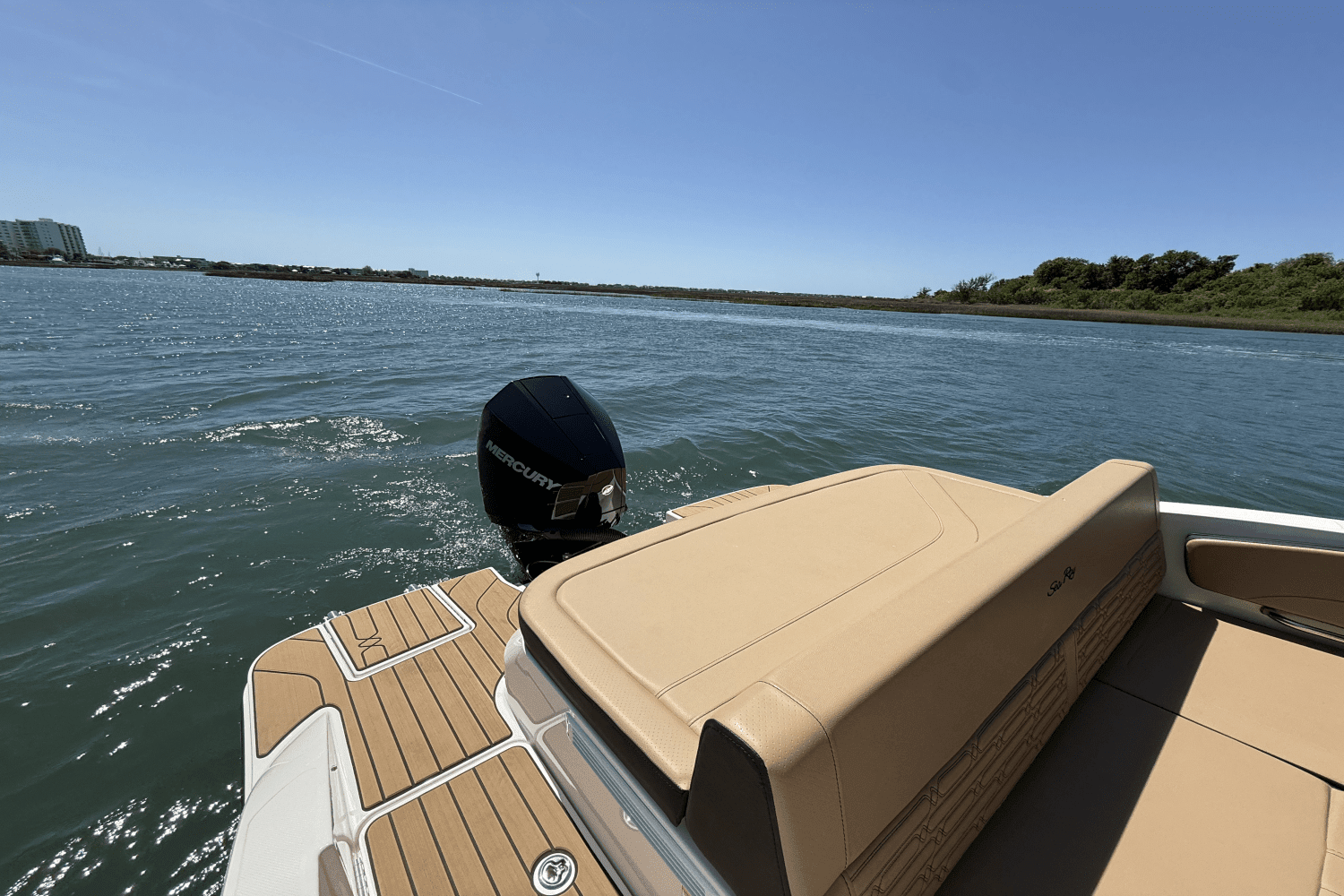 2025 Sea Ray SPX 210 Outboard Image Thumbnail #16