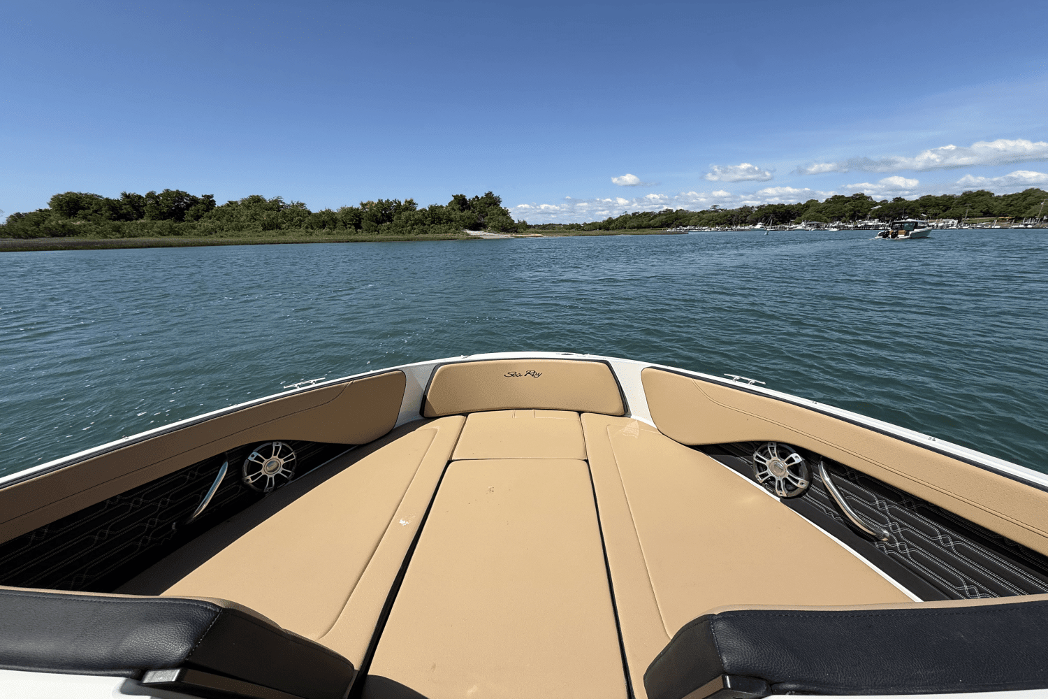2025 Sea Ray SPX 210 Outboard Image Thumbnail #7