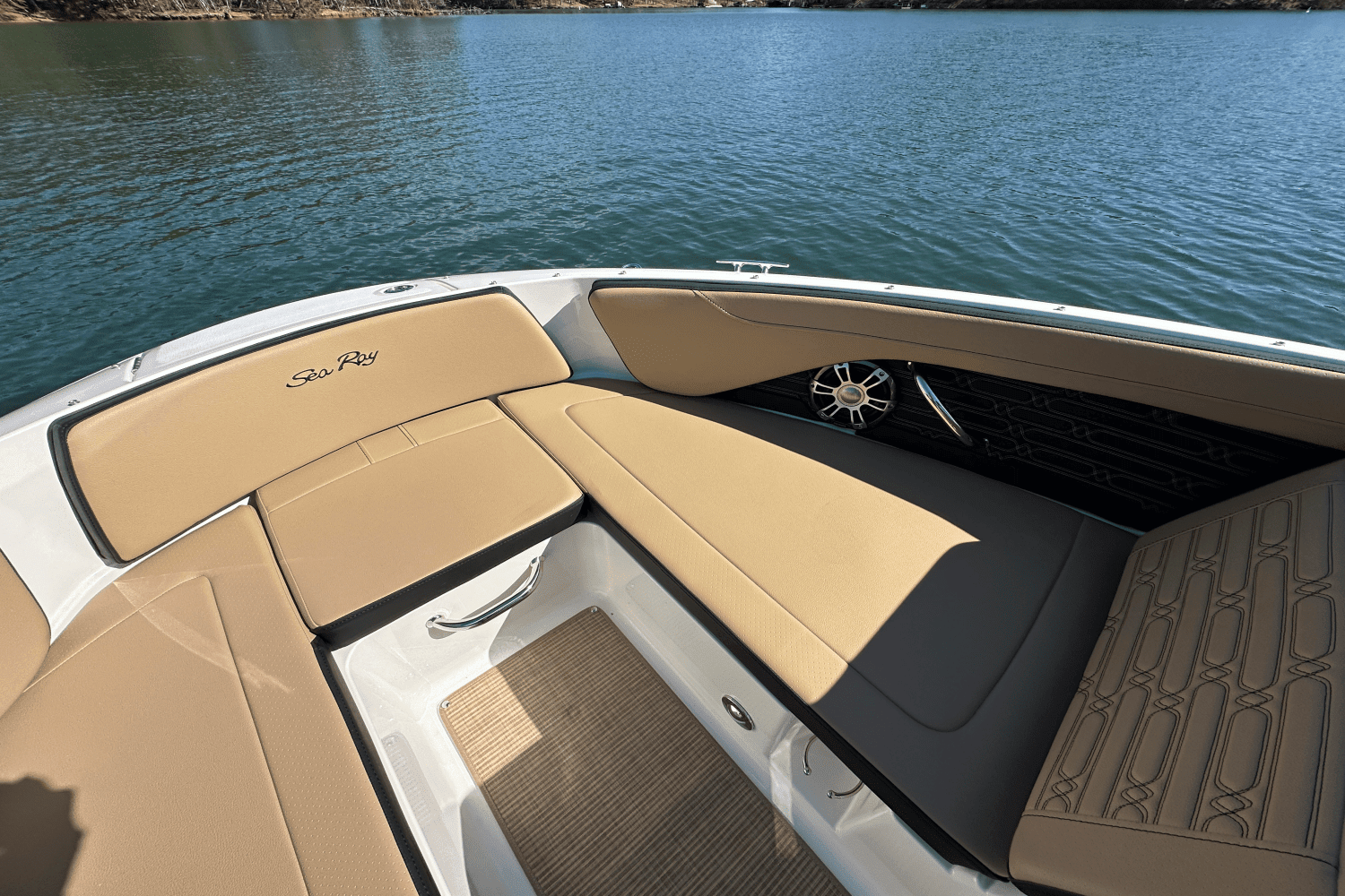 2025 Sea Ray SPX 210 Image Thumbnail #19