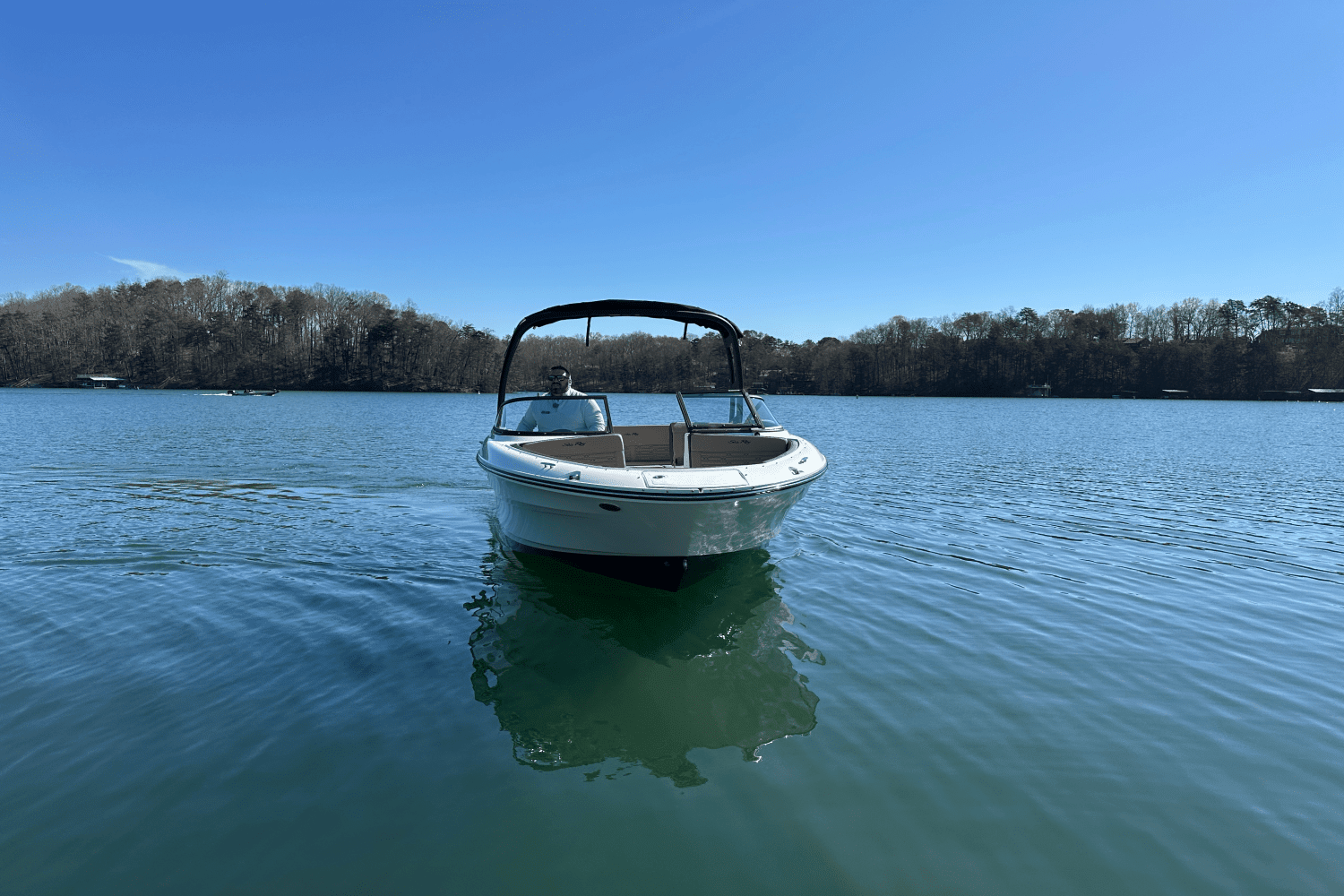 2025 Sea Ray SPX 210 Image Thumbnail #11