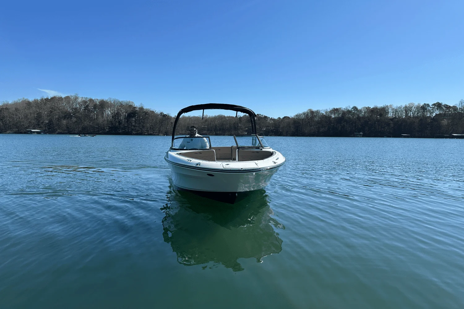 2025 Sea Ray SPX 210 Image Thumbnail #11