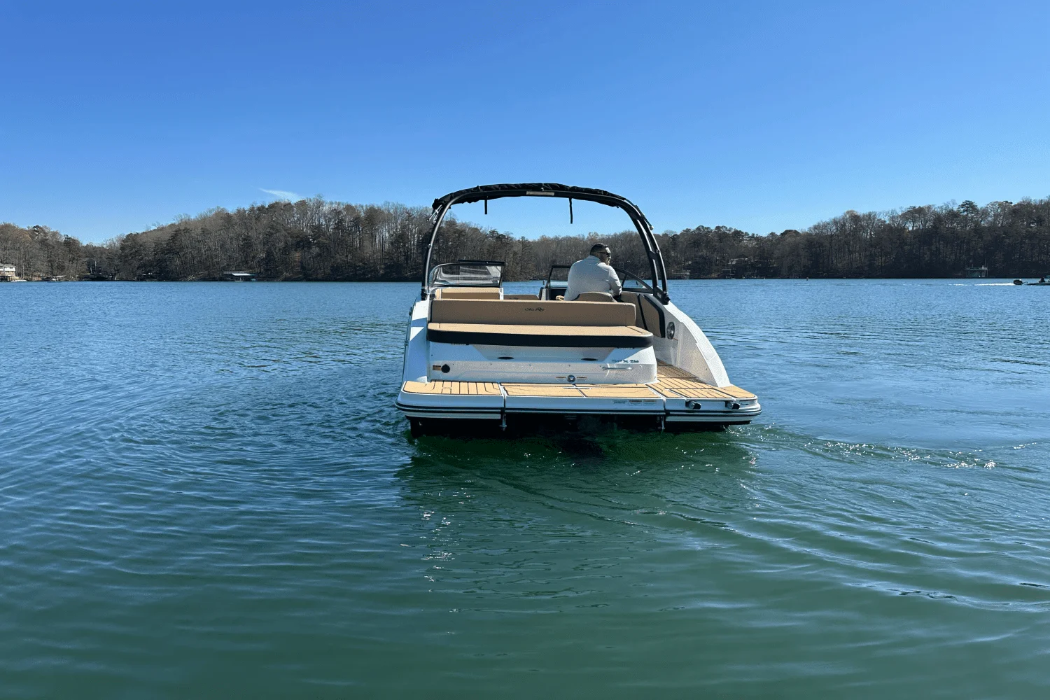 2025 Sea Ray SPX 210 Image Thumbnail #4