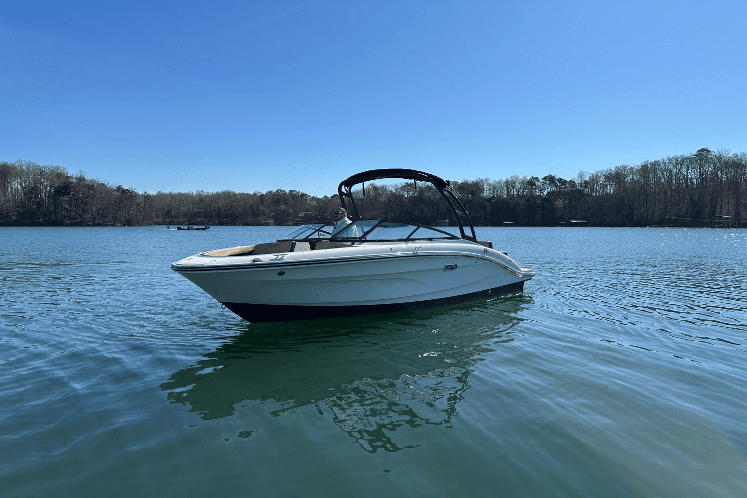 2025 Sea Ray SPX 210 Image Thumbnail #15