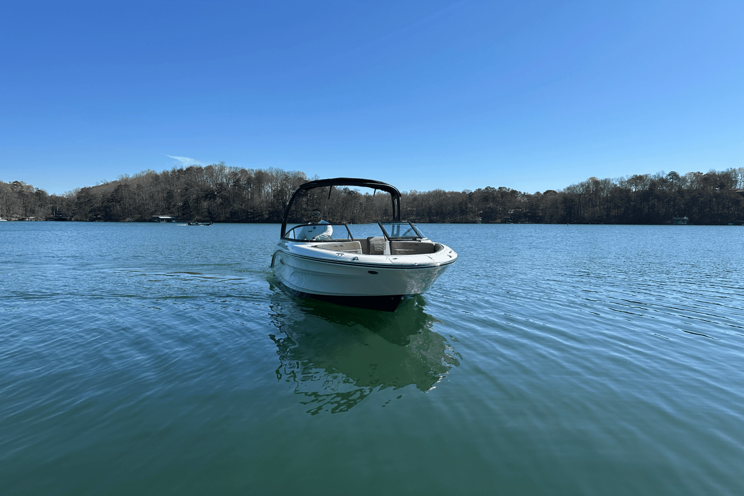 2025 Sea Ray SPX 210 Image Thumbnail #9