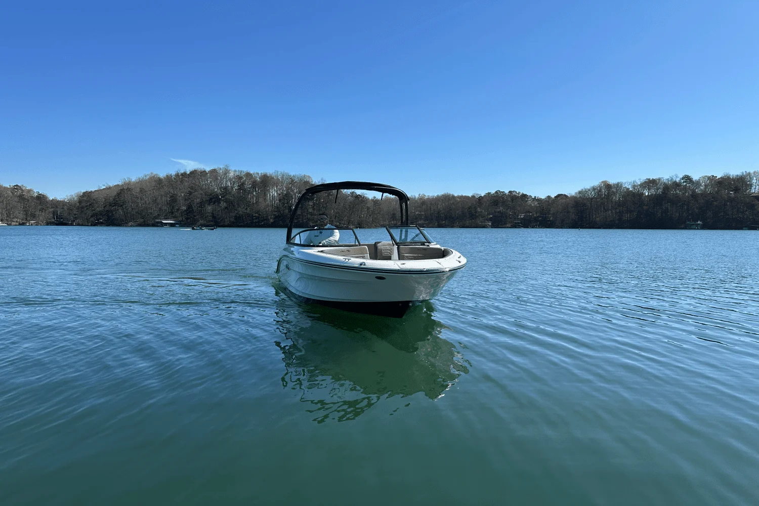 2025 Sea Ray SPX 210 Image Thumbnail #9