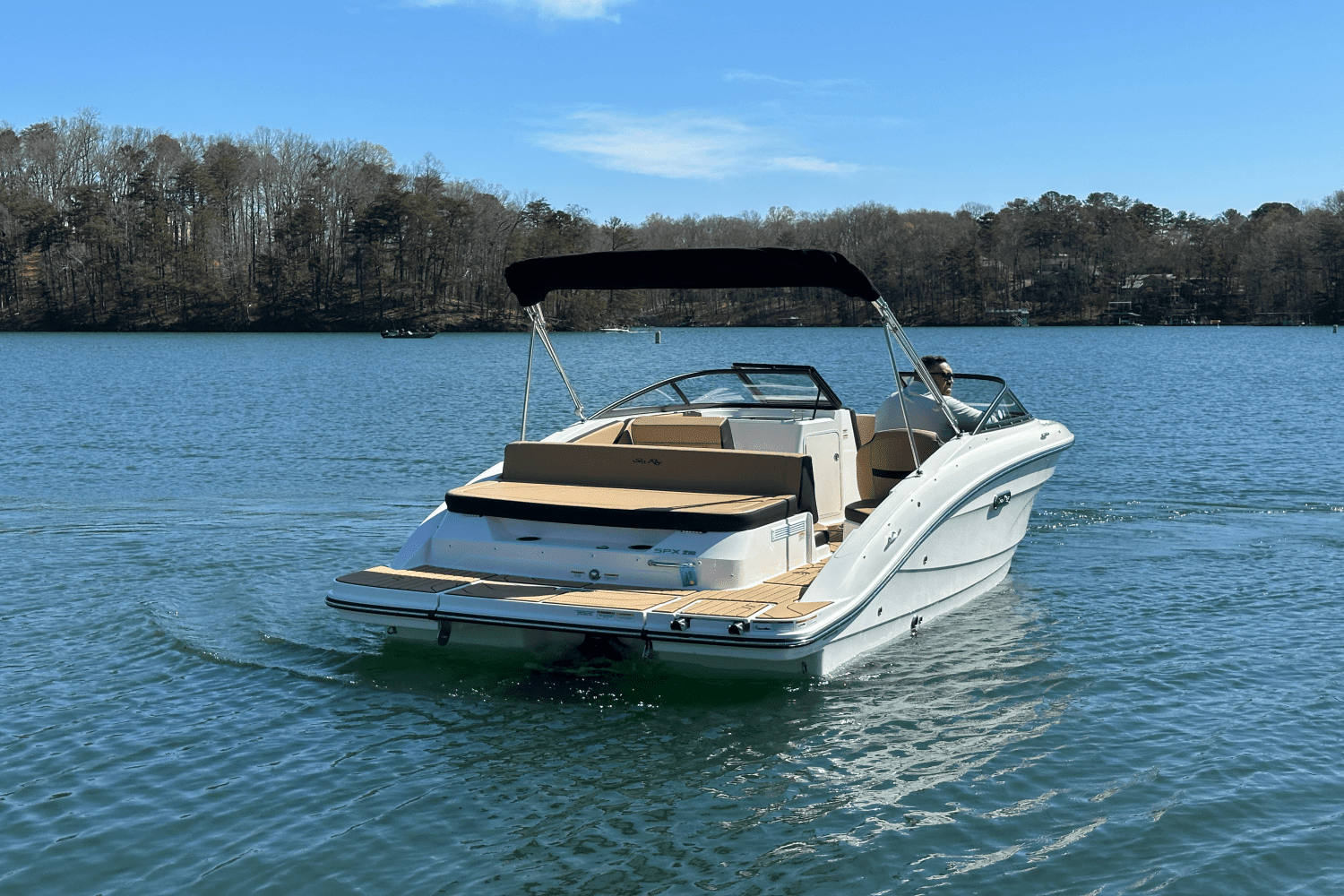 2025 Sea Ray SPX 210 Image Thumbnail #10