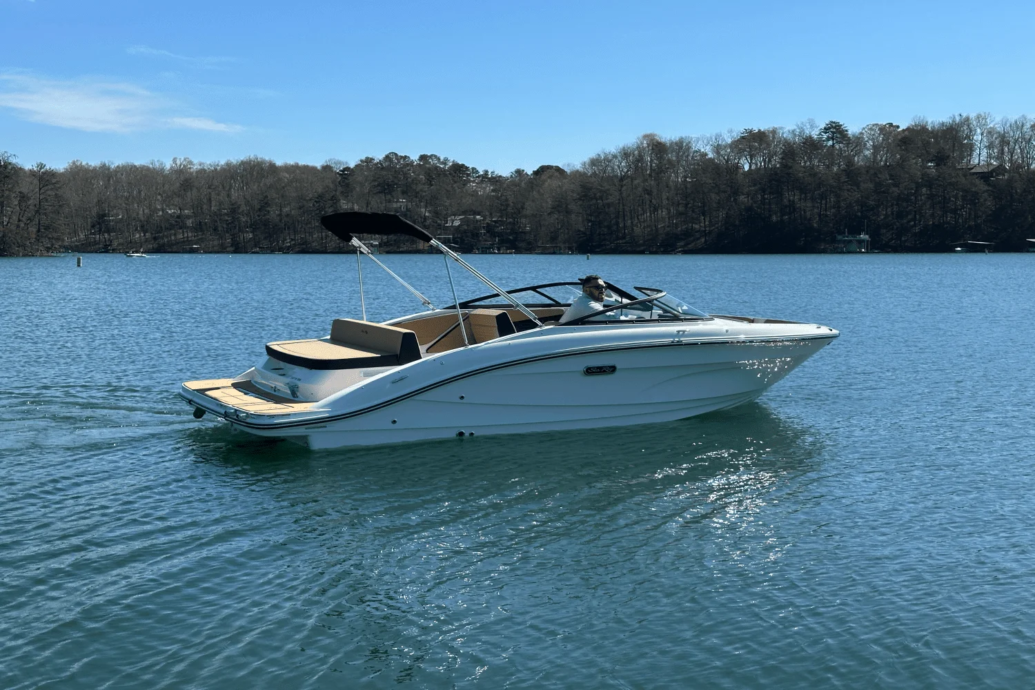 2025 Sea Ray SPX 210 Image Thumbnail #8