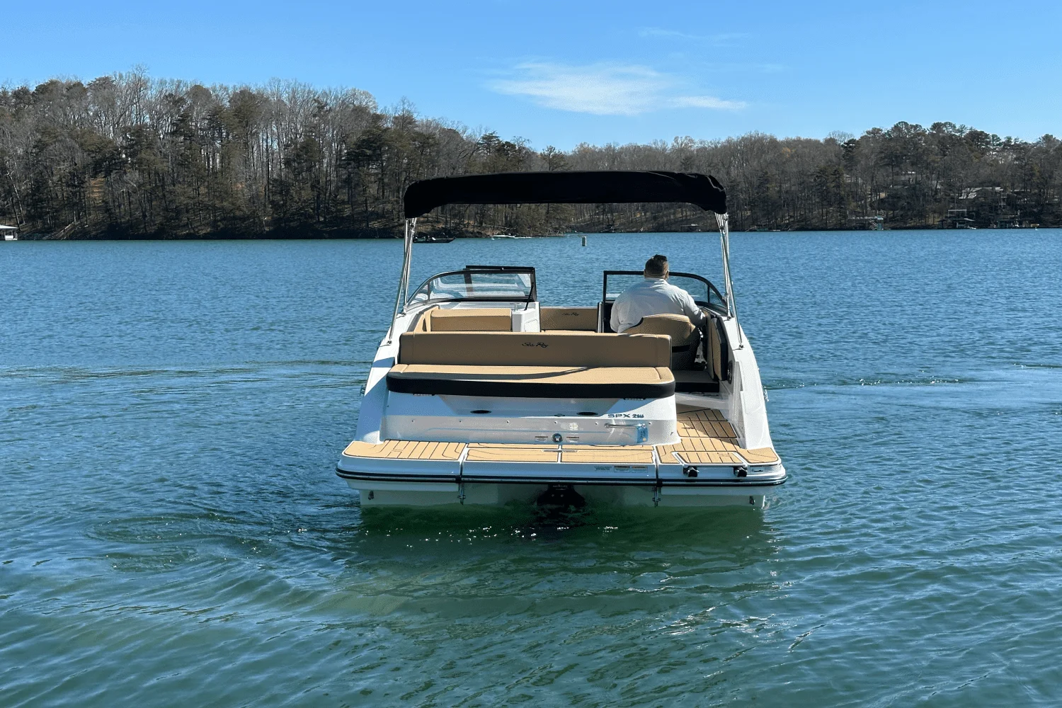 2025 Sea Ray SPX 210 Image Thumbnail #11