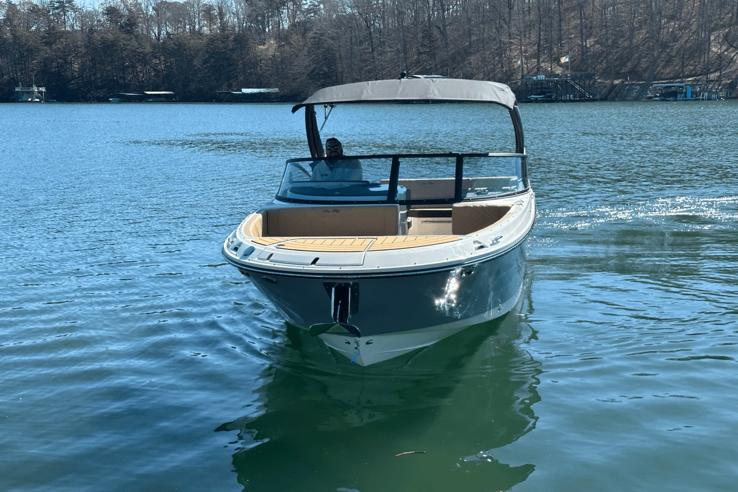 2025 Sea Ray SDX 270 Image Thumbnail #13