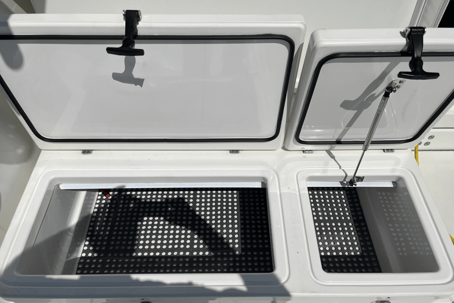 2011 Rampage 41 EXPRESS Image Thumbnail #10