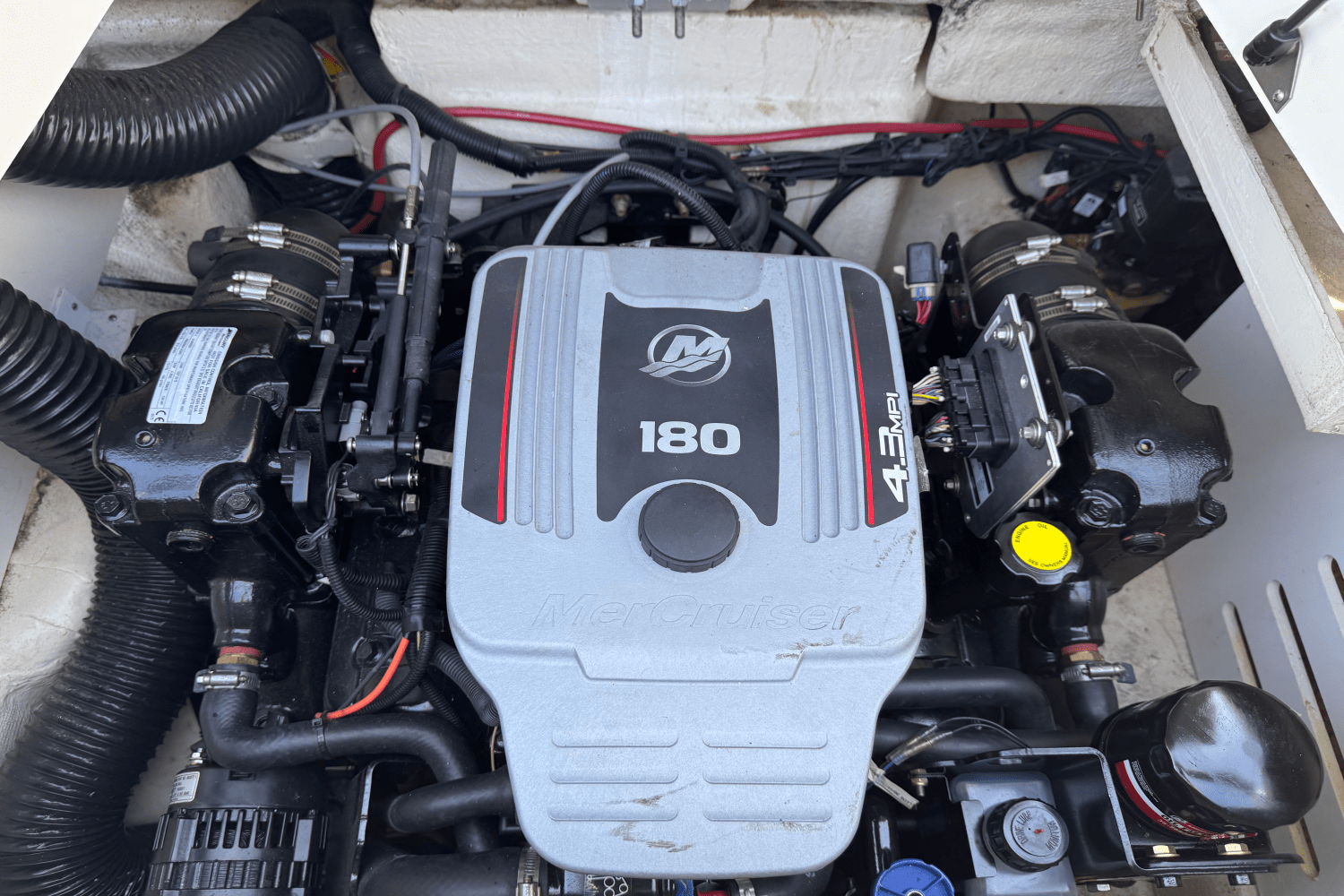 2016 Sea Ray 190 SPX Image Thumbnail #15