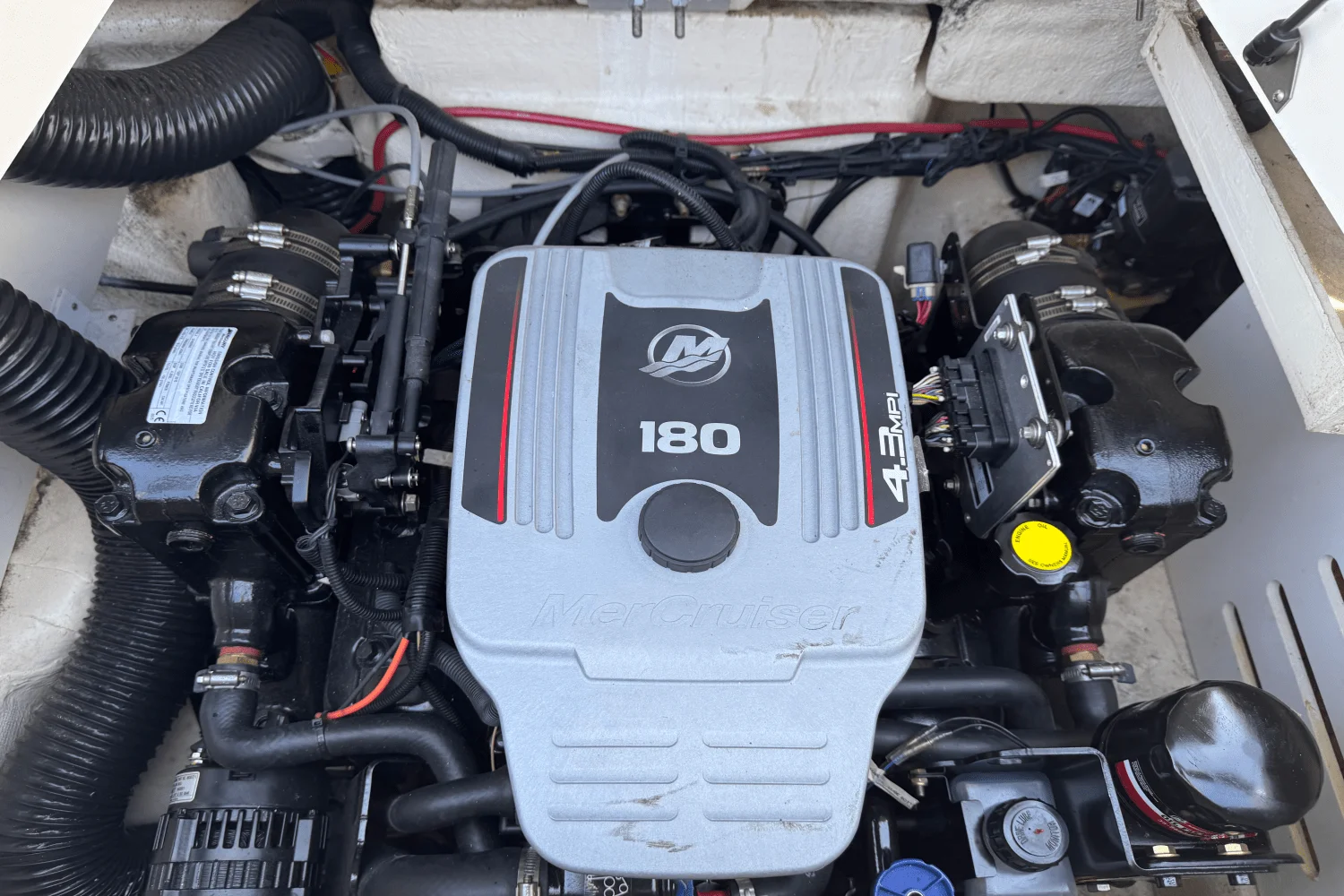 2016 Sea Ray 190 SPX Image Thumbnail #15