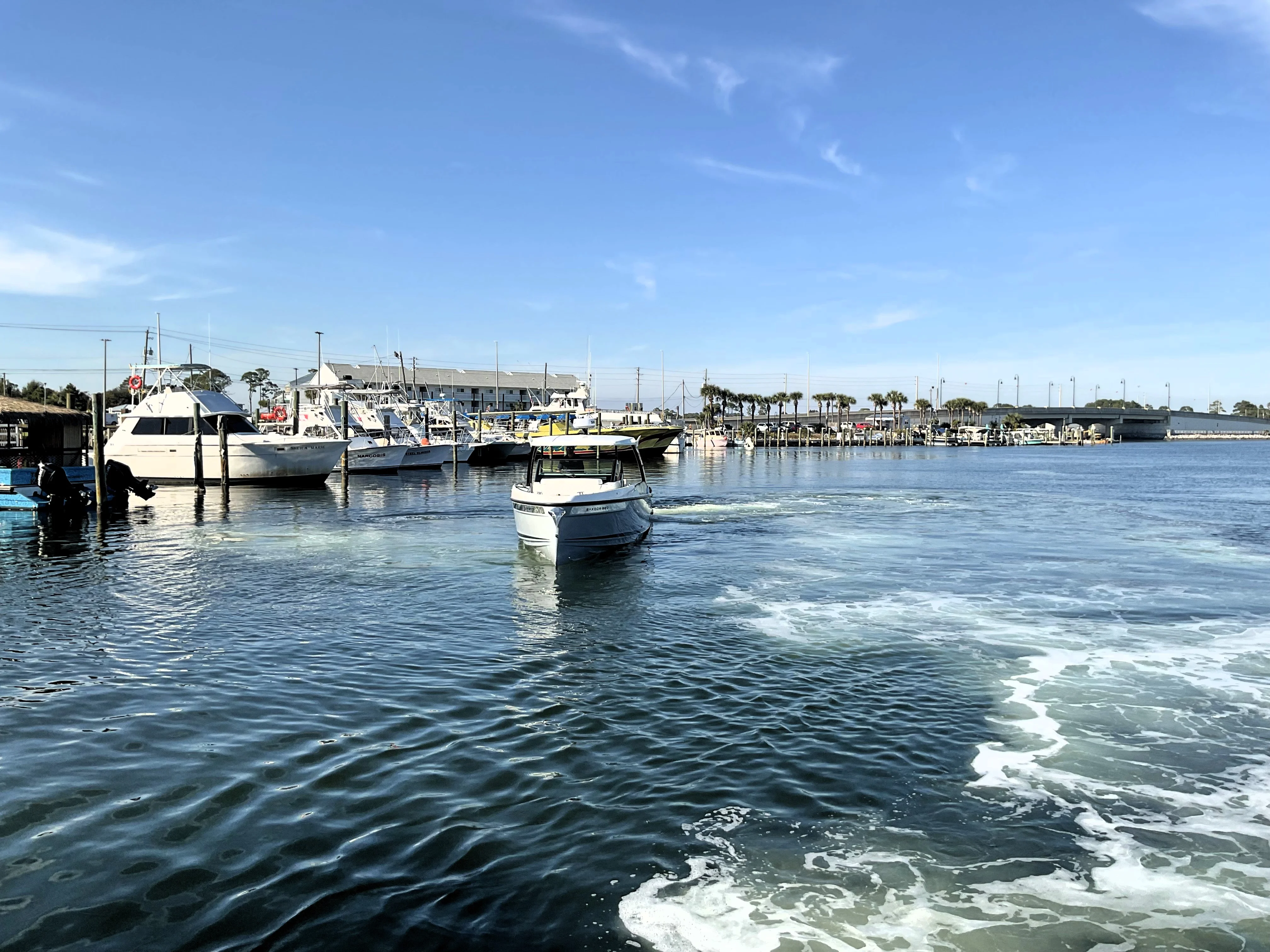 2026 Saxdor 320 GTO Image Thumbnail #7