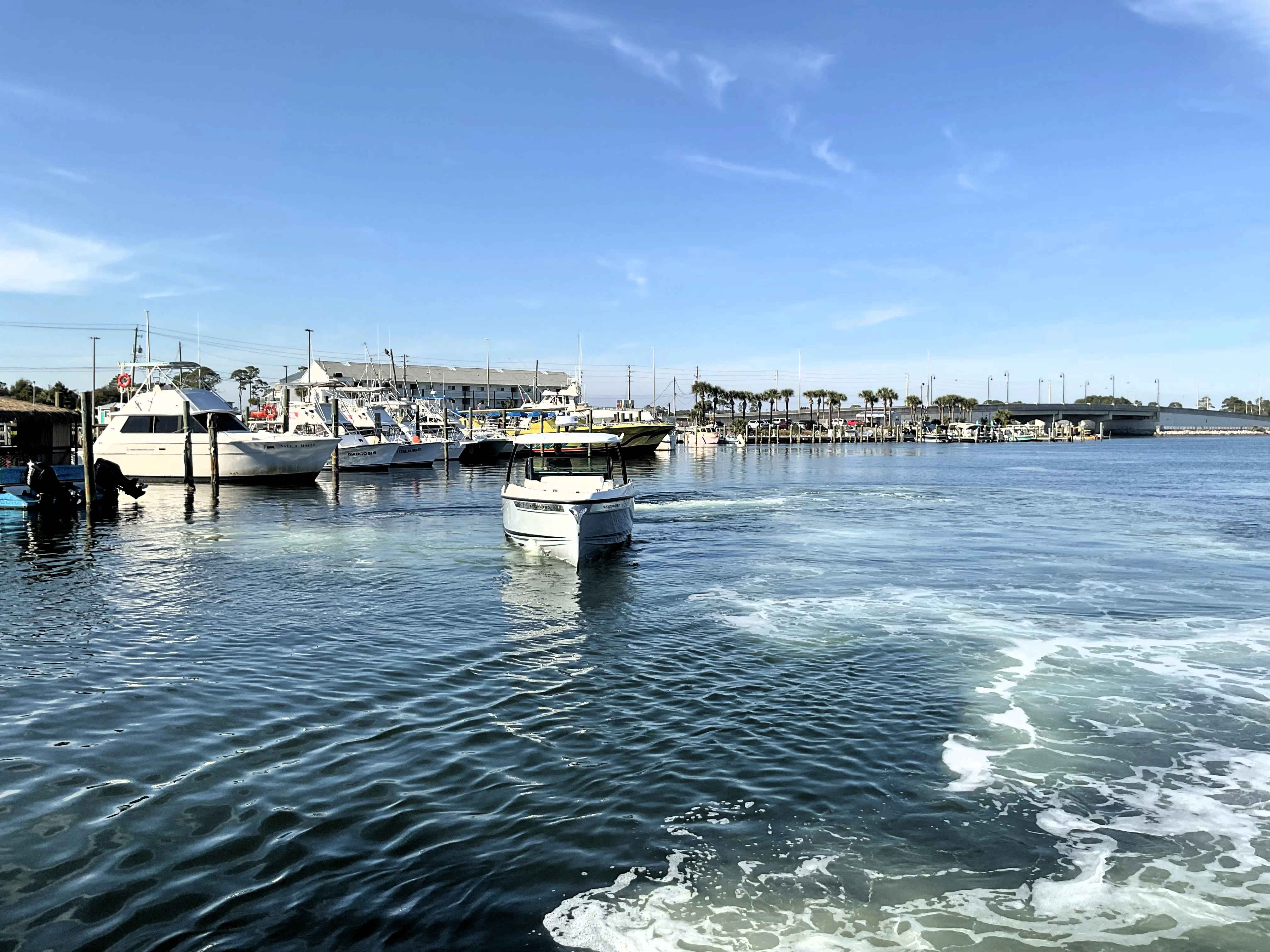 2026 Saxdor 320 GTO Image Thumbnail #57