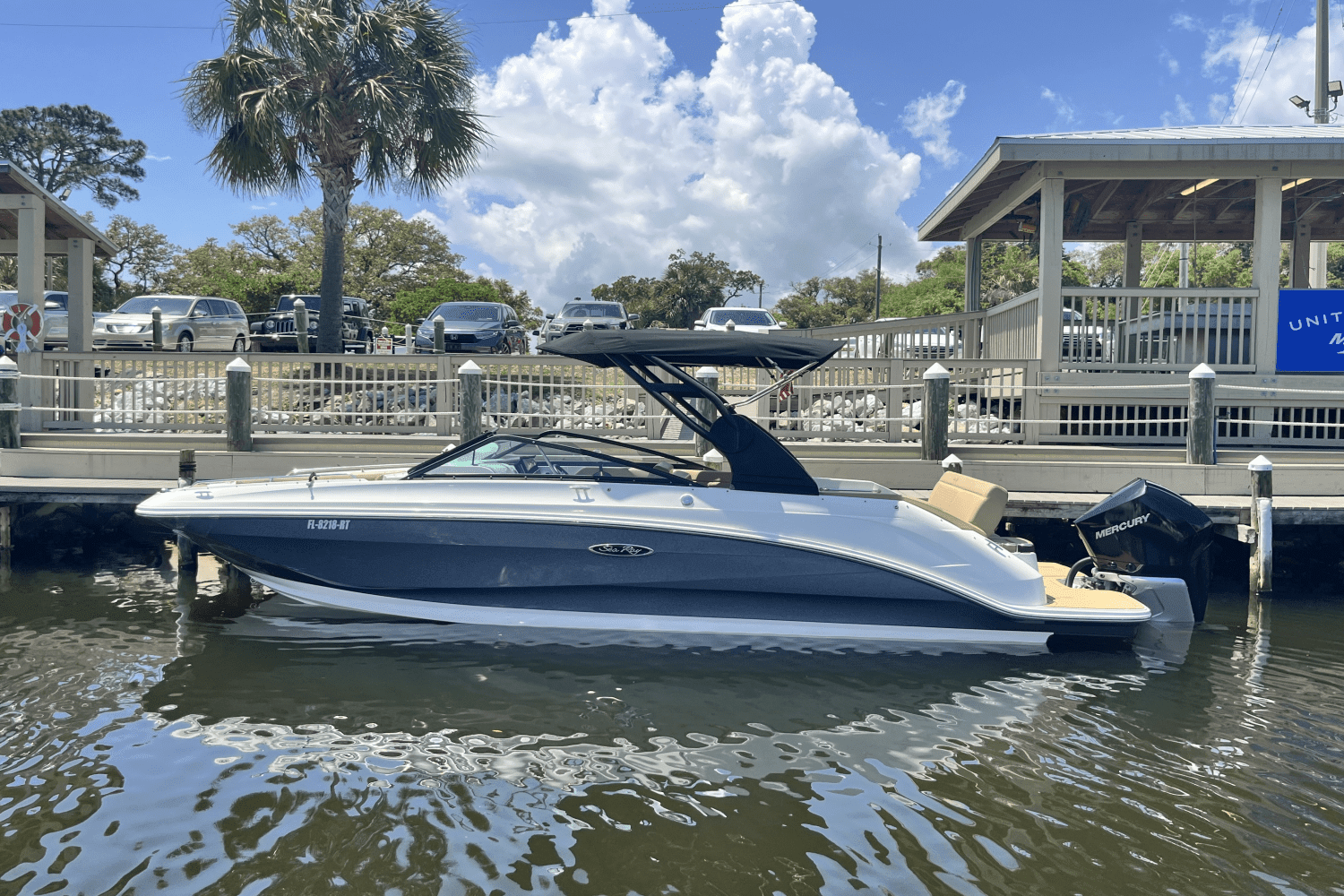 2019 Sea Ray SDX 250 Outboard Image Thumbnail #4