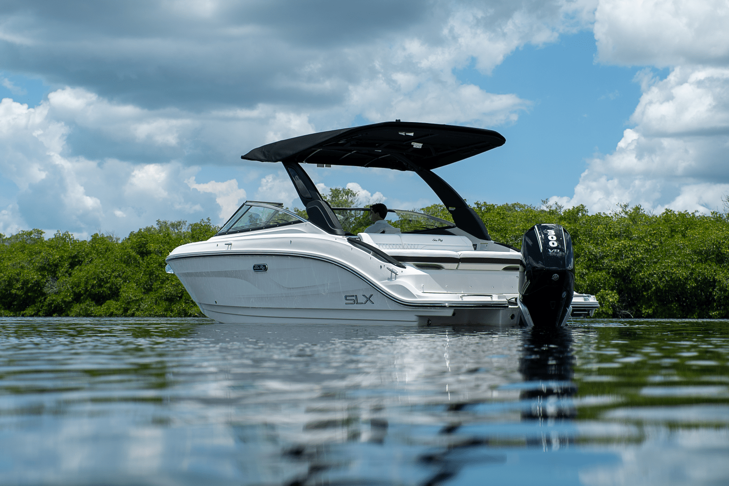 2026 Sea Ray 260SXO Image Thumbnail #24