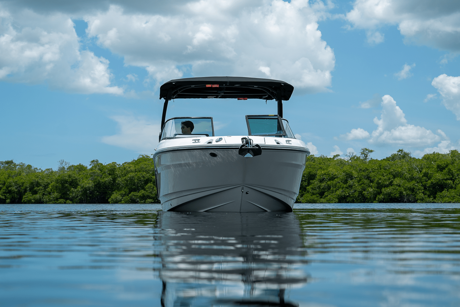 2026 Sea Ray 260SXO Image Thumbnail #21
