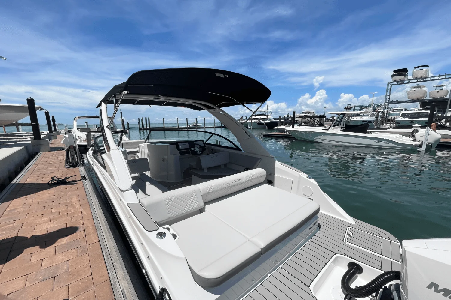 2026 Sea Ray SDX 230 Outboard Image Thumbnail #9