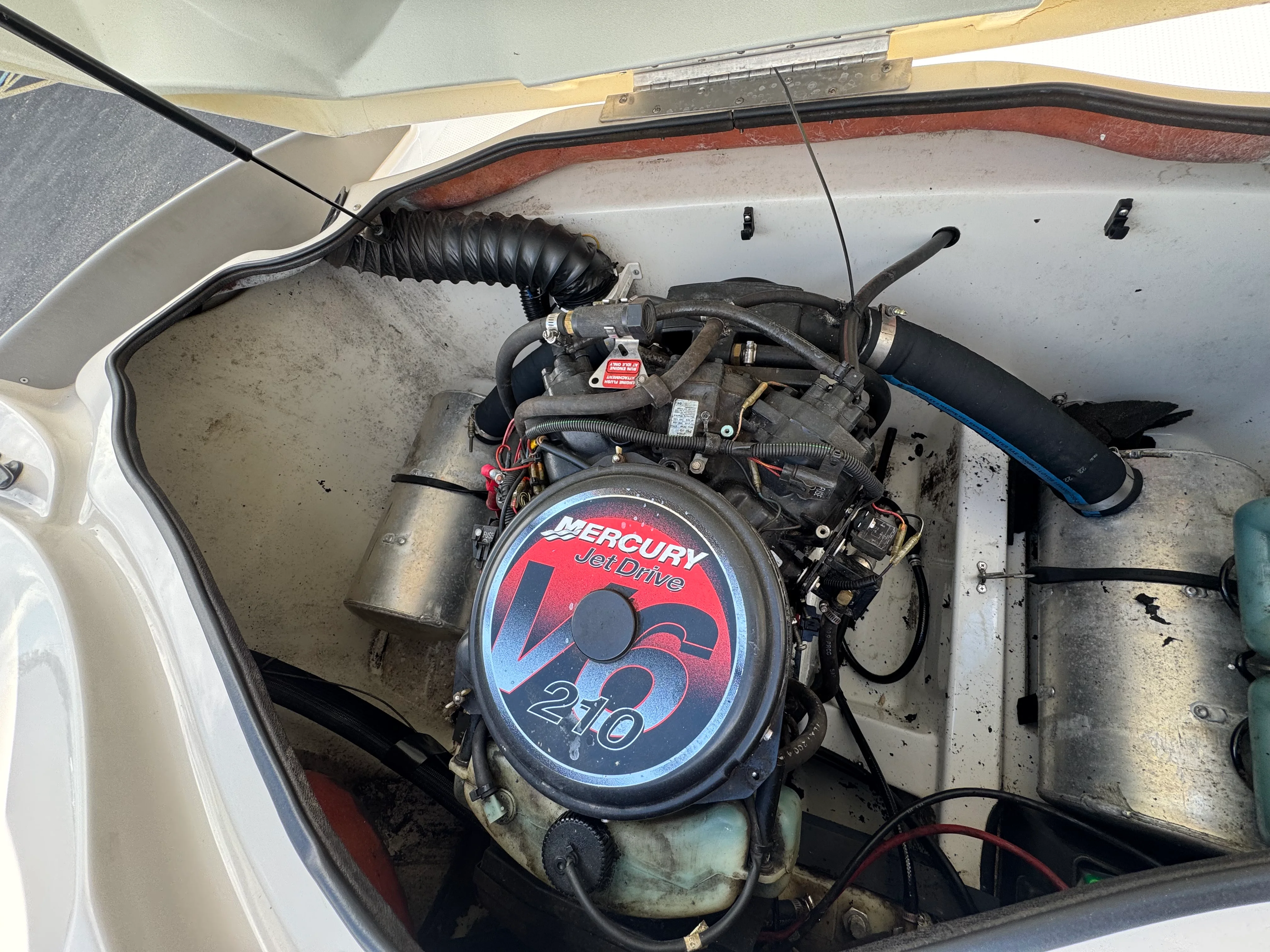 2005 Sugar Sand TANGO Image Thumbnail #7