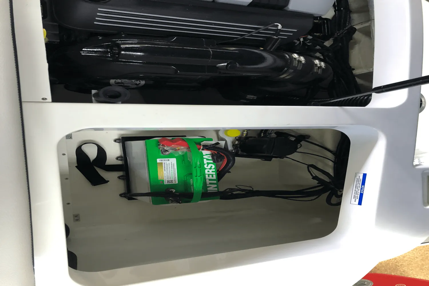 2025 Sea Ray SPX 190 Image Thumbnail #17