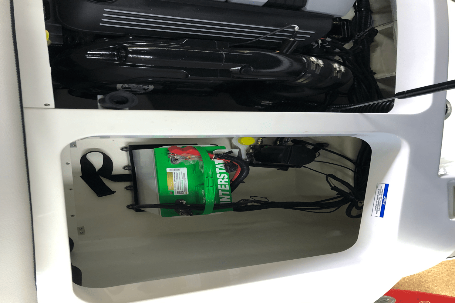 2025 Sea Ray SPX 190 Image Thumbnail #17