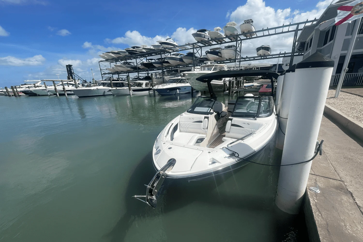 2023 Sea Ray 260 SLX OUTBOARD Image Thumbnail #12