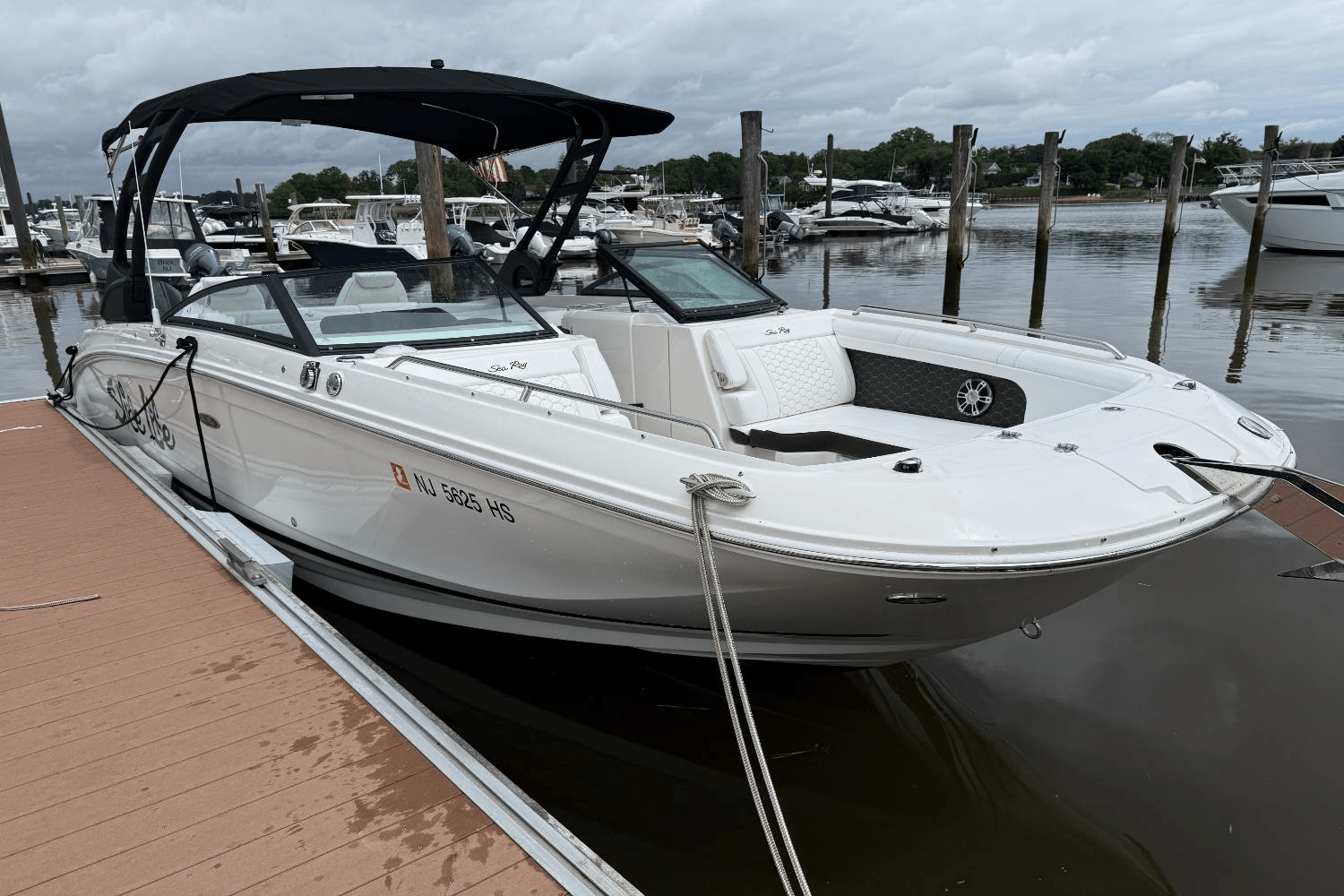 2024 Sea Ray 290 SDX OB Image Thumbnail #22