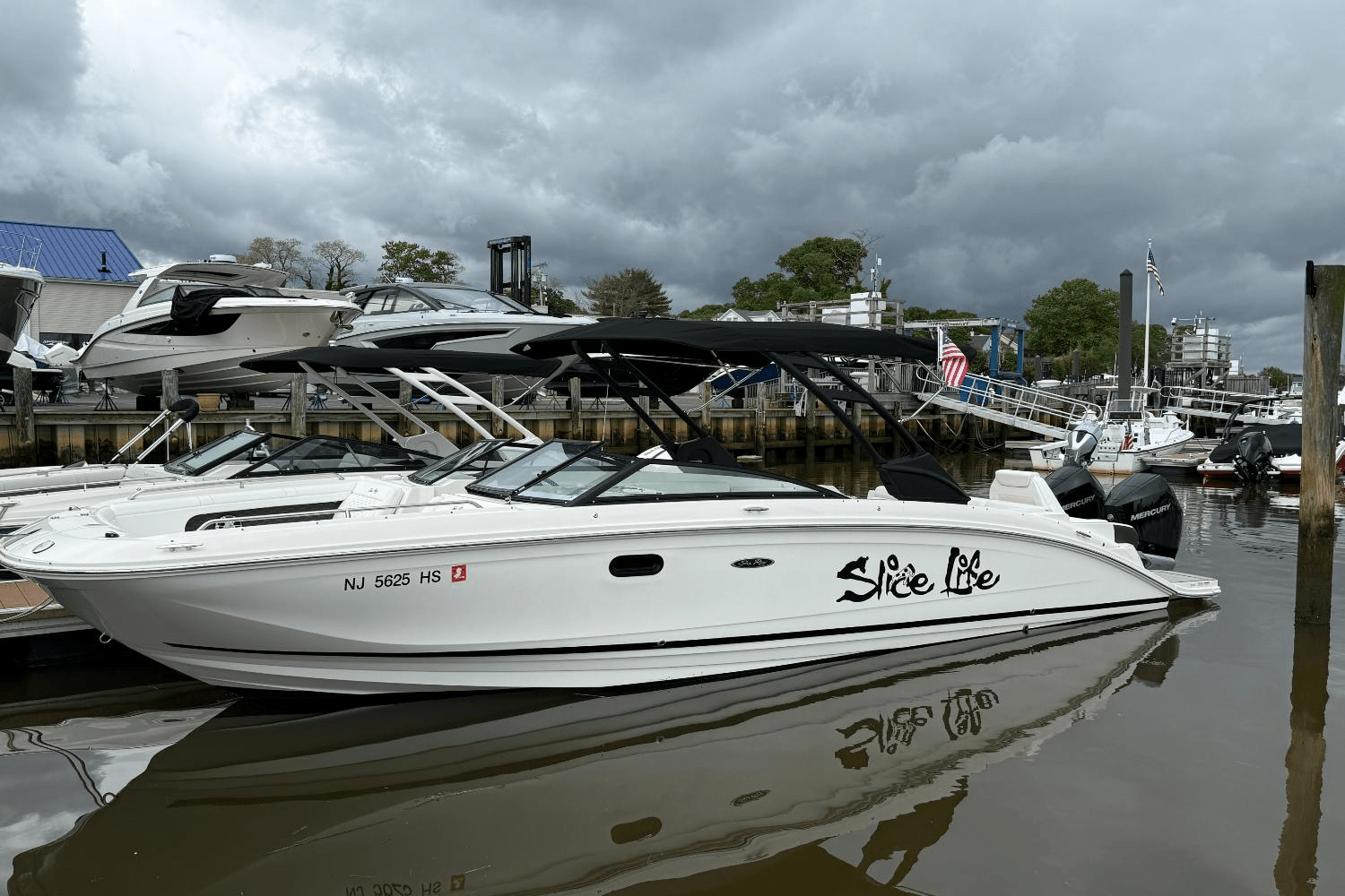 2024 Sea Ray 290 SDX OB Image Thumbnail #3