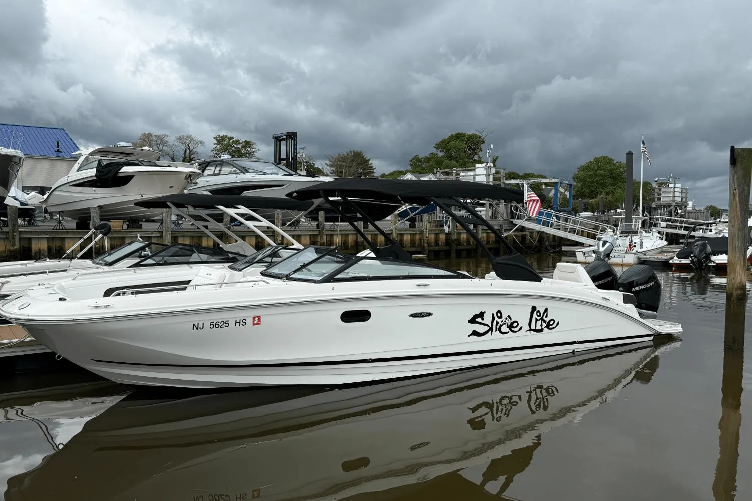 2024 Sea Ray 290 SDX OB Image Thumbnail #3